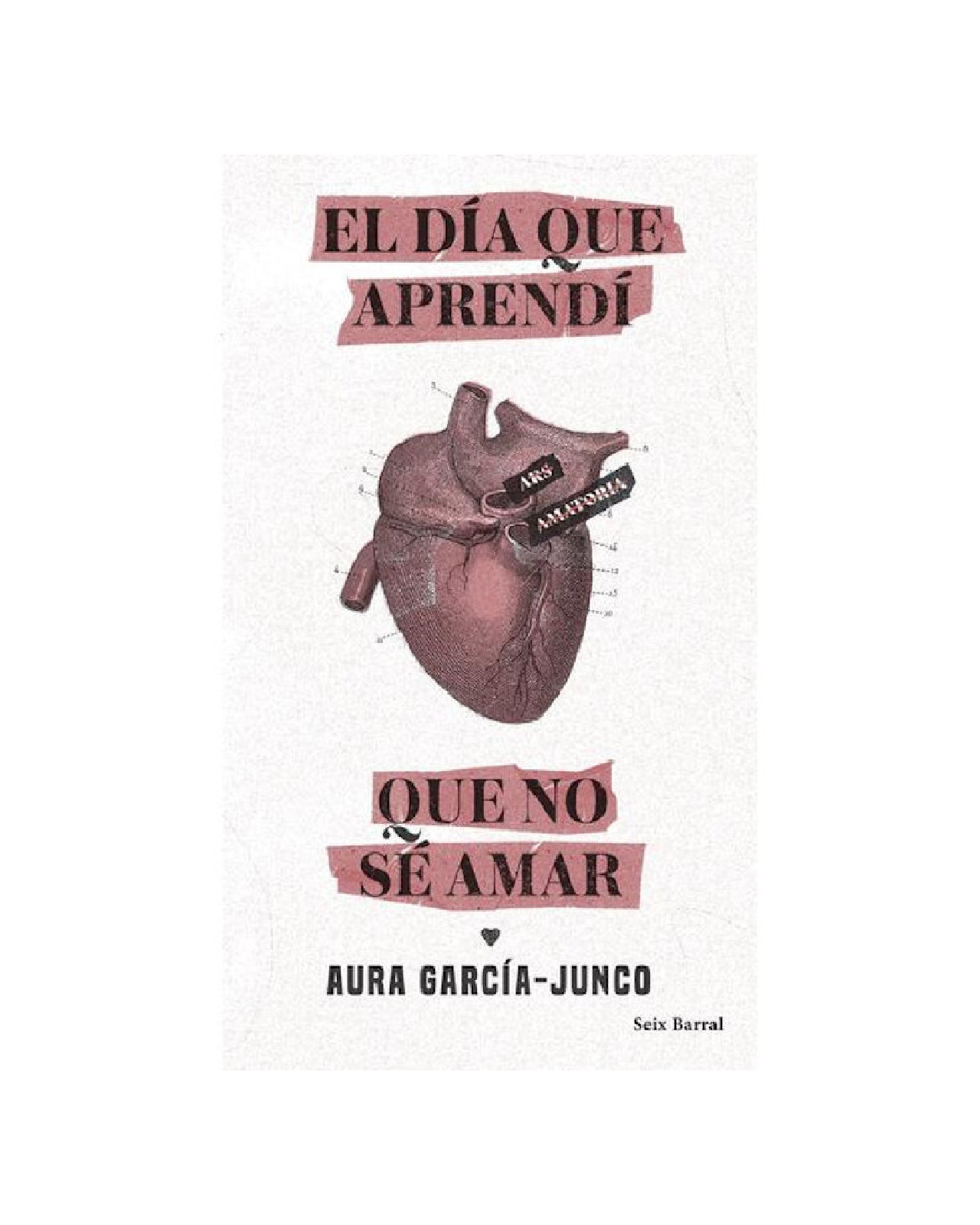 Foto 1 | Libro ''el Día Que Aprendí Que No Sé Amar''