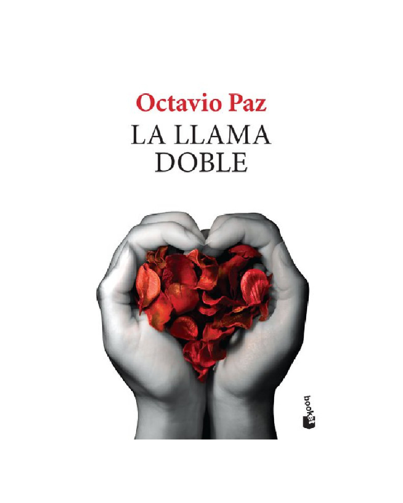 Foto 2 pulgar | Libro ''la Llama Doble''