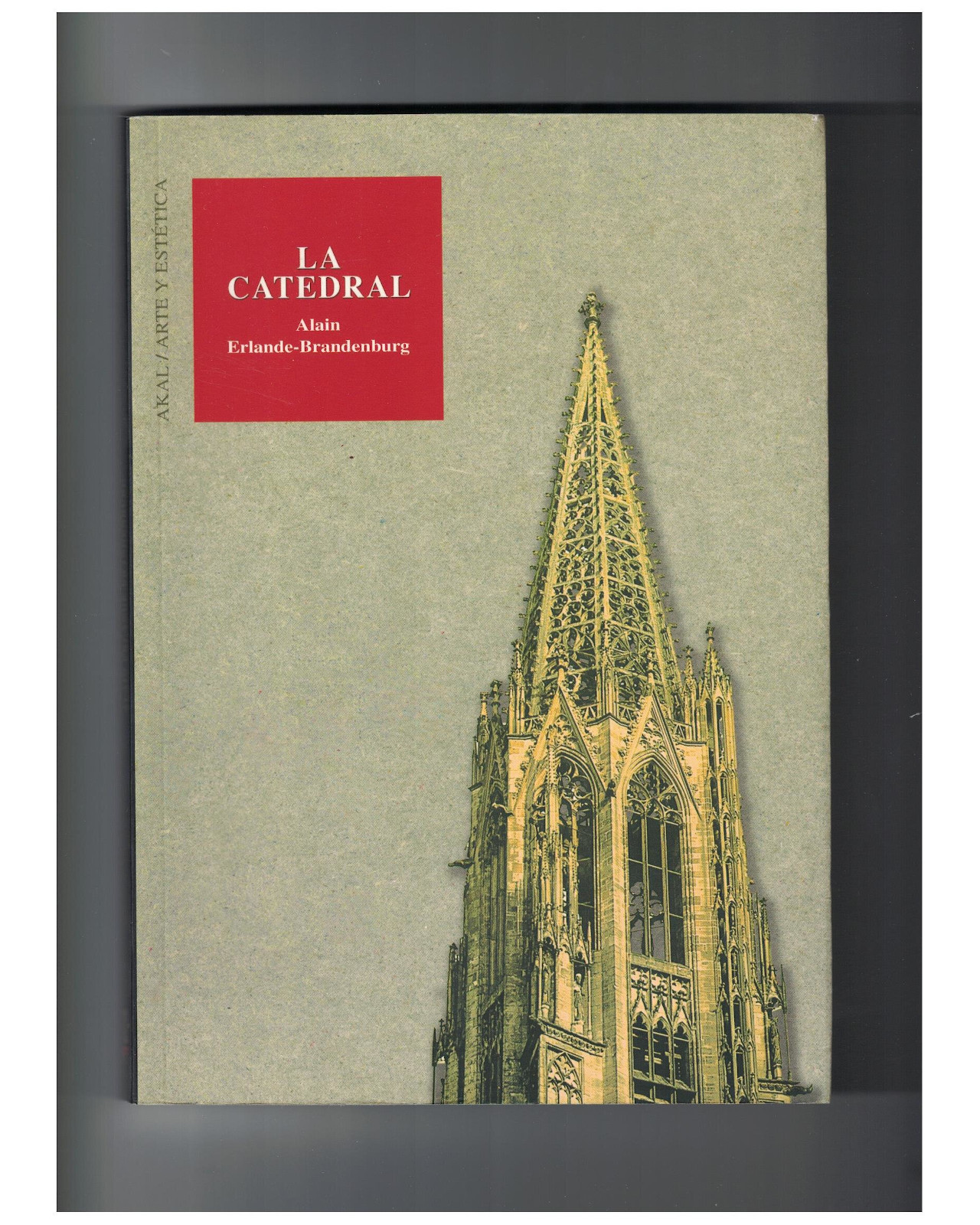 Libro ''catedral''