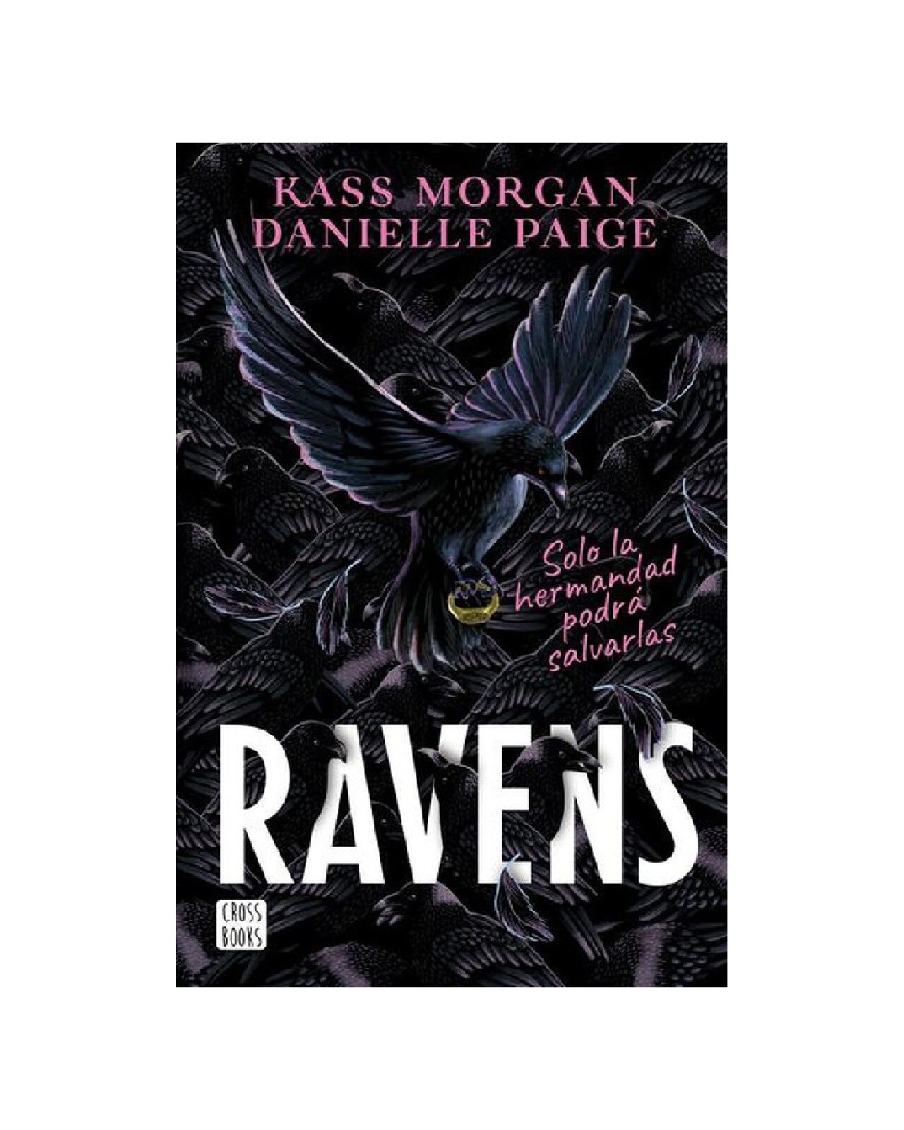 Libro ''ravens'' $249