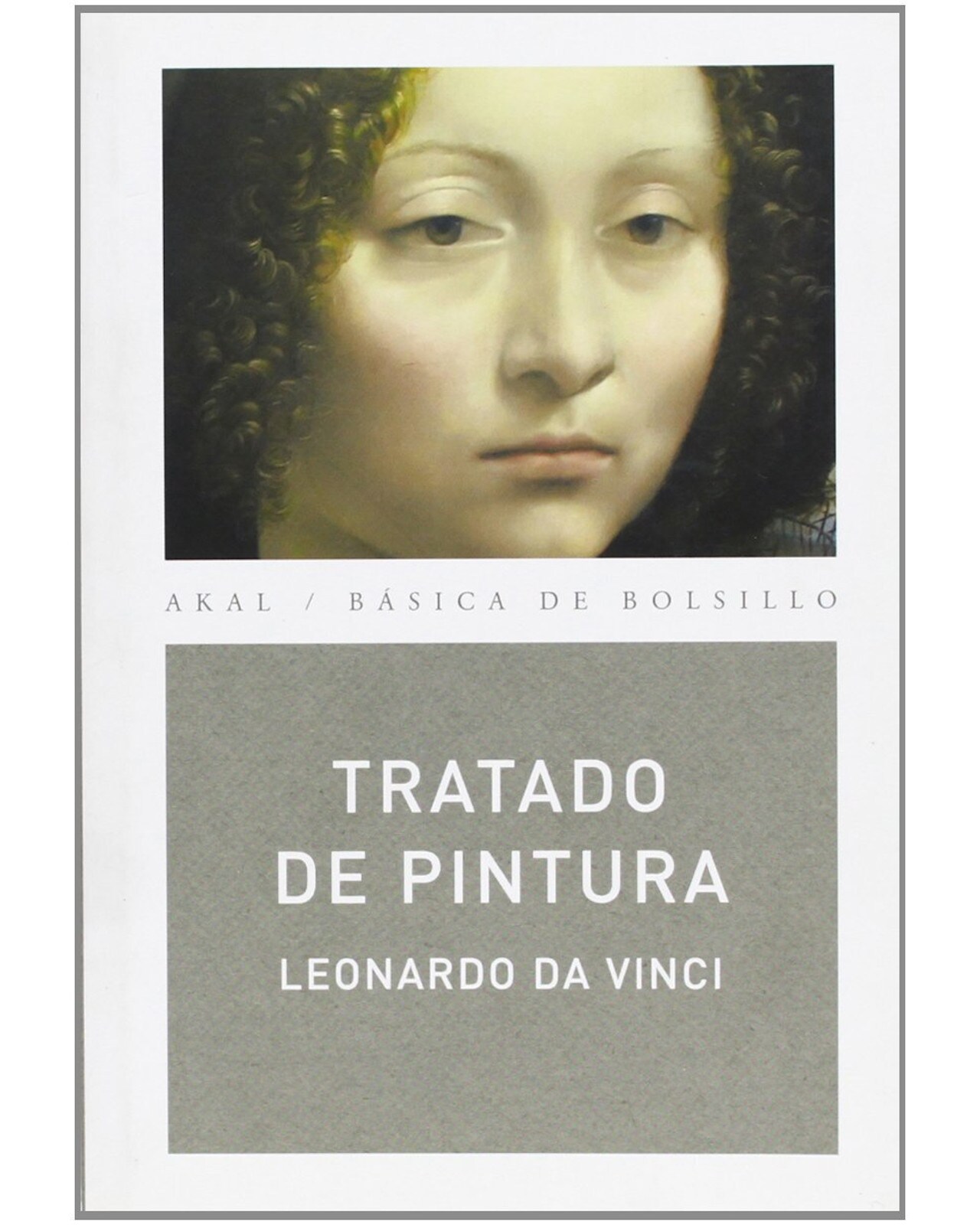 Libro ''tratado De Pintura (bba)'' $570