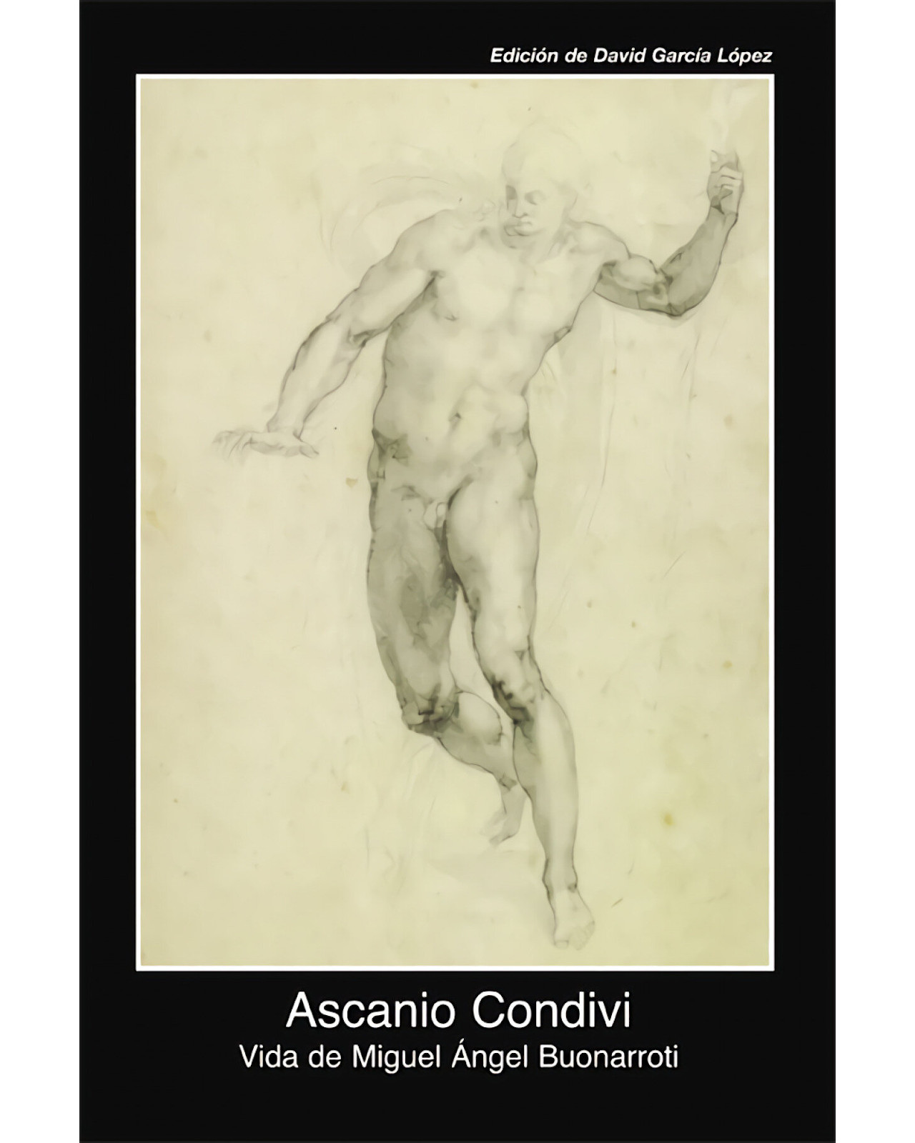 Libro ''vida De Miguel Angel Buonarroti''