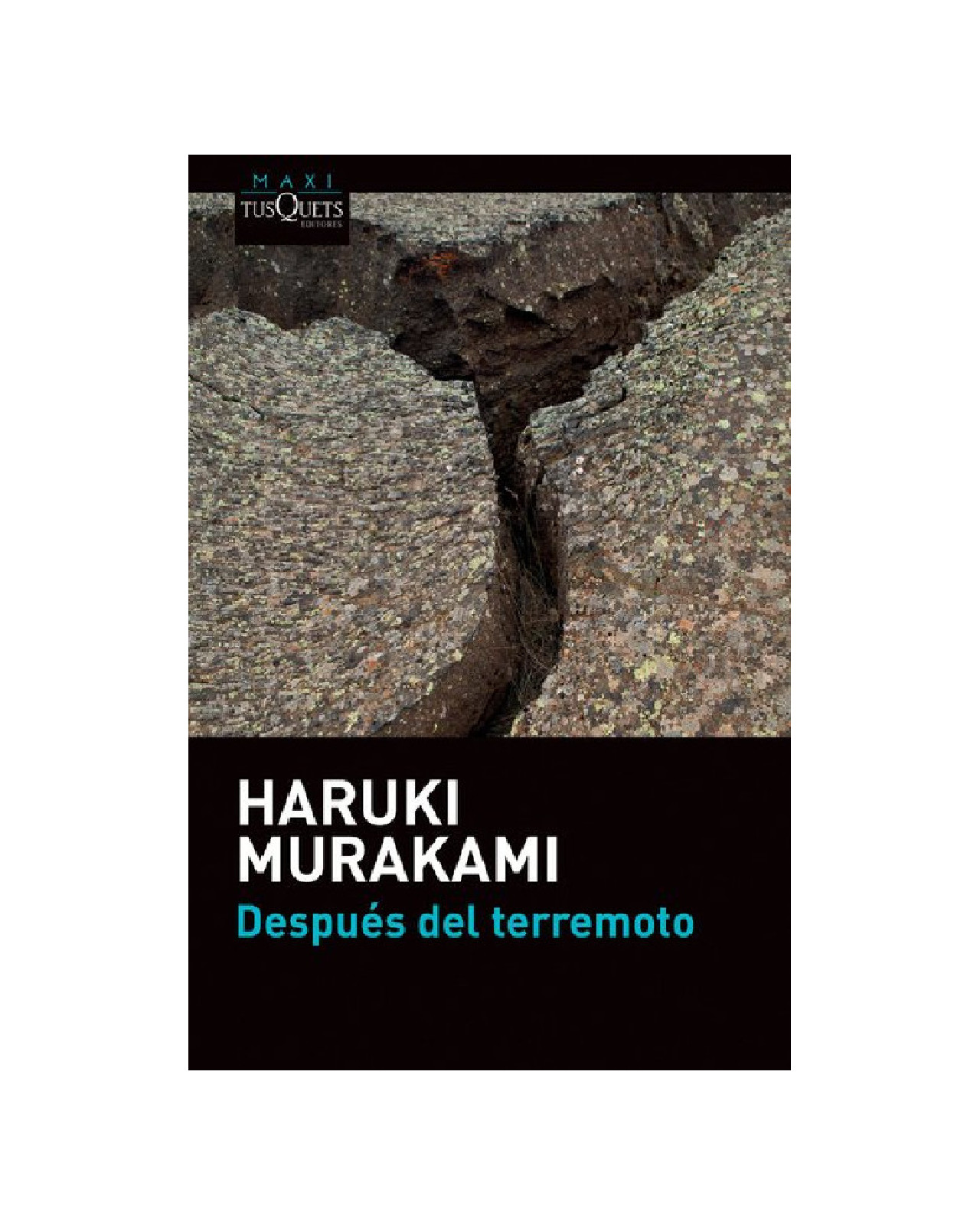 Foto 2 pulgar | Libro ''despues Del Terremoto''