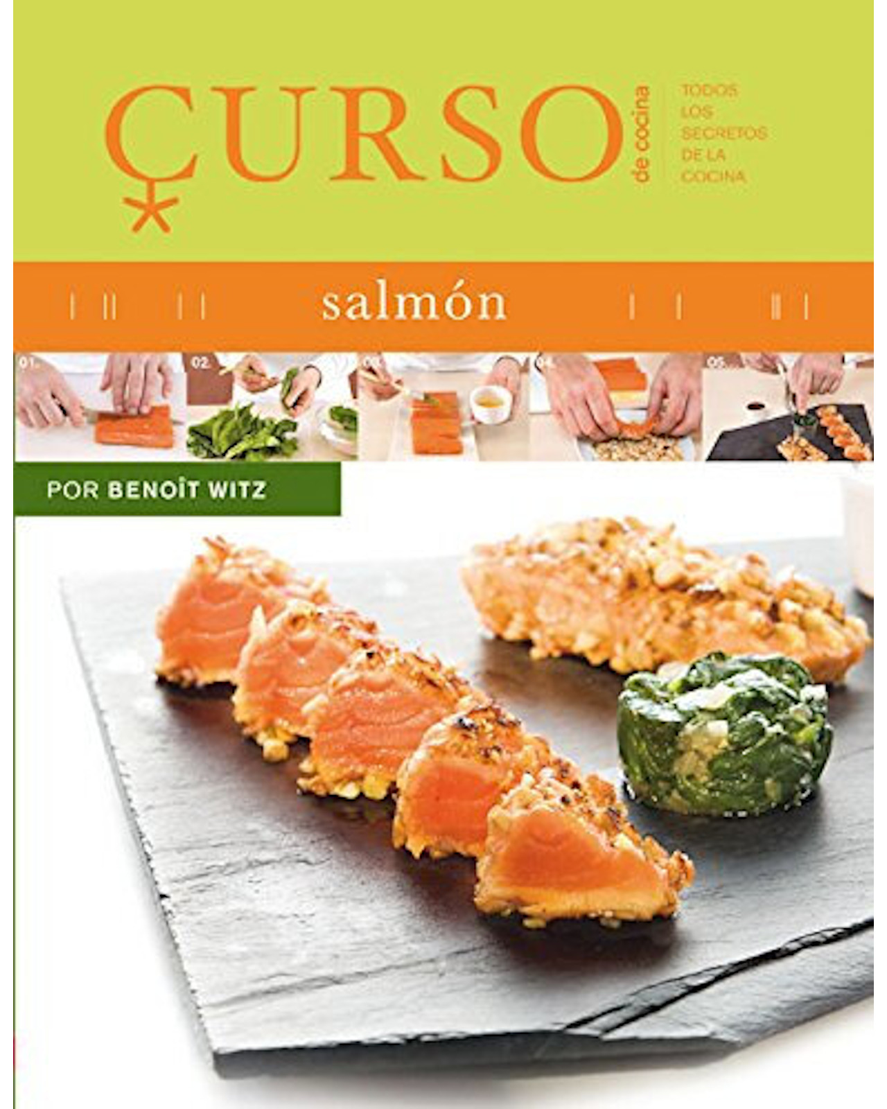 Foto 2 pulgar | Libro ''curso De Cocina: Salmon''