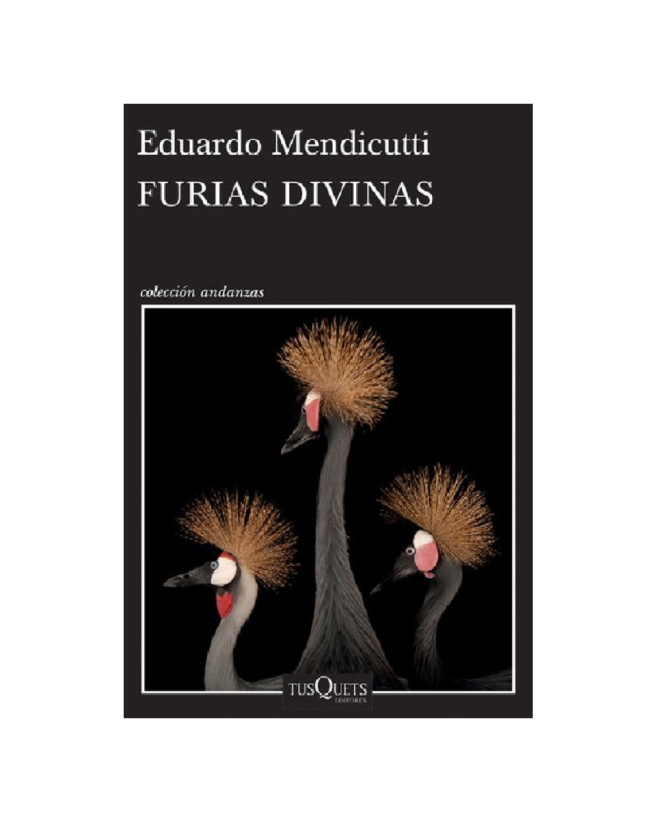 Libro ''furias Divinas''