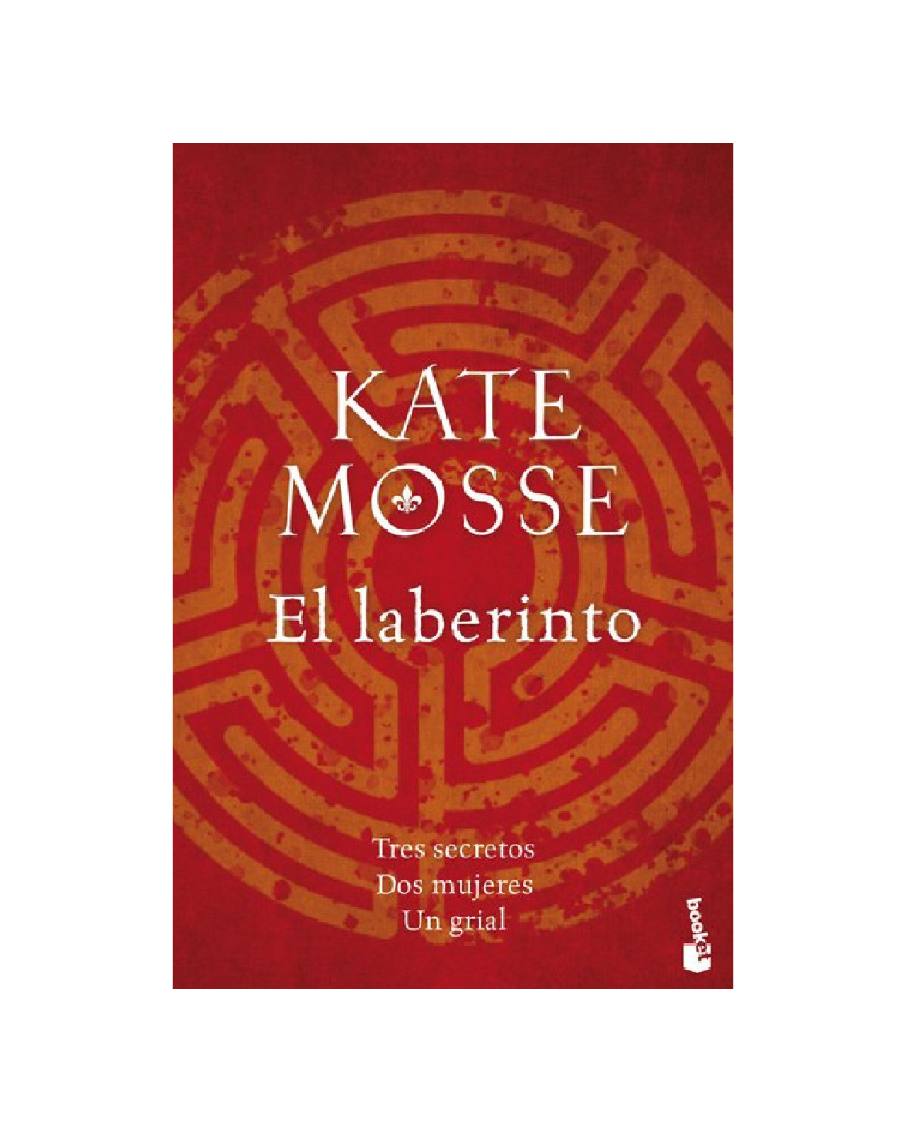 Foto 1 | Libro ''el Laberinto''