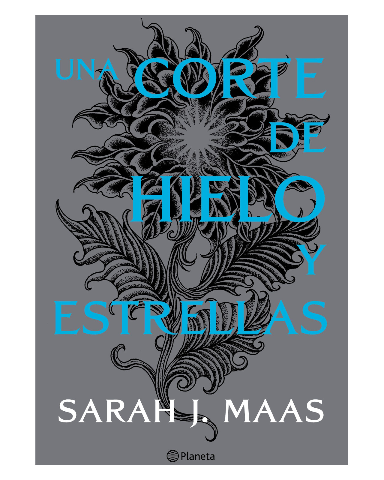 Libro ''una Corte De Hielo Y Estrellas''