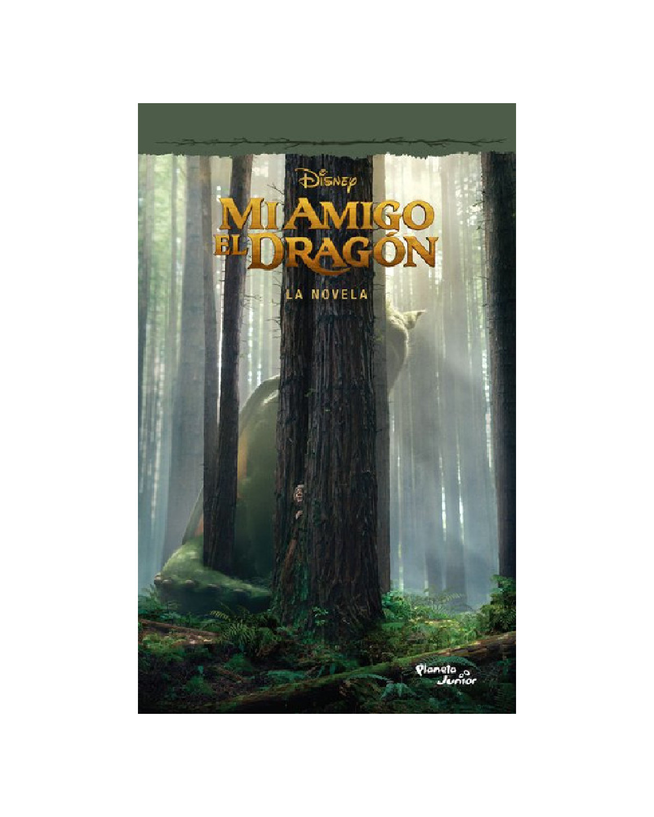 Foto 2 pulgar | Libro ''mi Amigo El Dragón. La Novela''