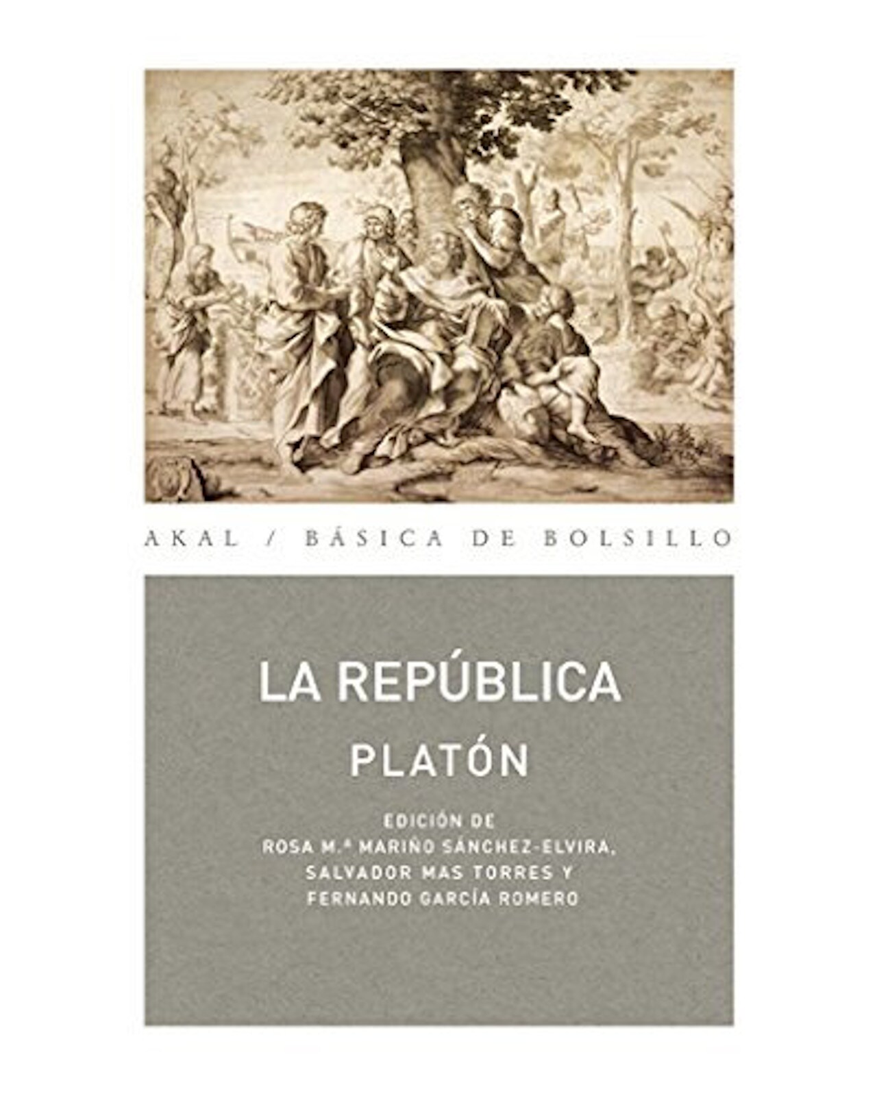 Libro ''republica'' $850