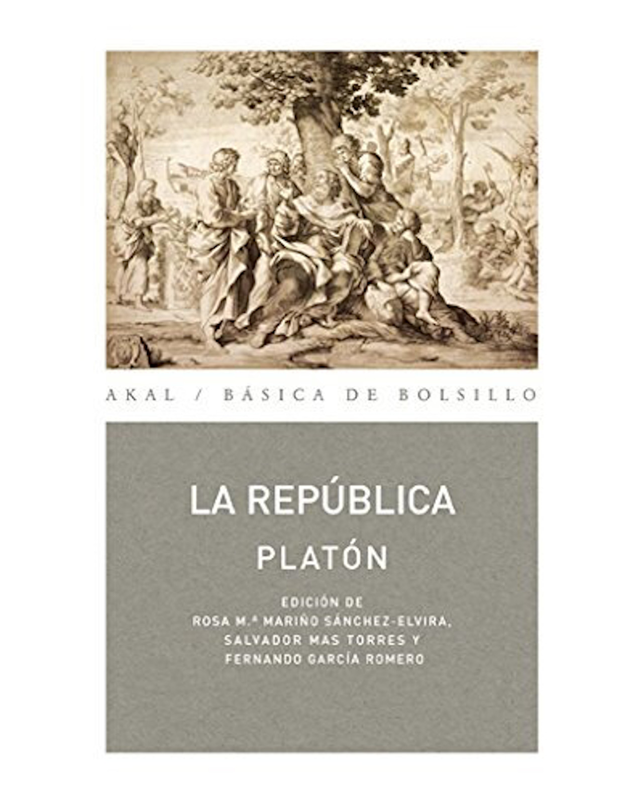 Foto 1 | Libro ''republica''
