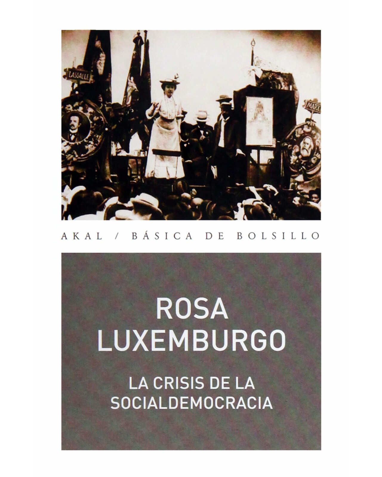 Libro ''crisis De La Socialdemocracia'' $320