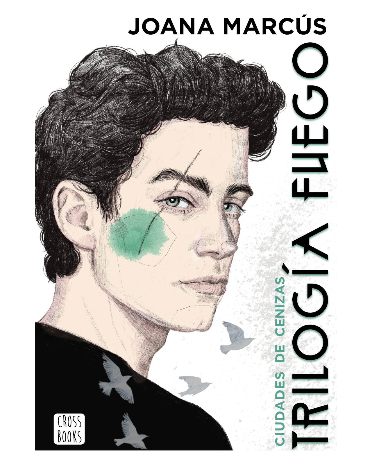 Foto 2 pulgar | Libro ''trilogía Fuego 2. Ciudades De Cenizas''