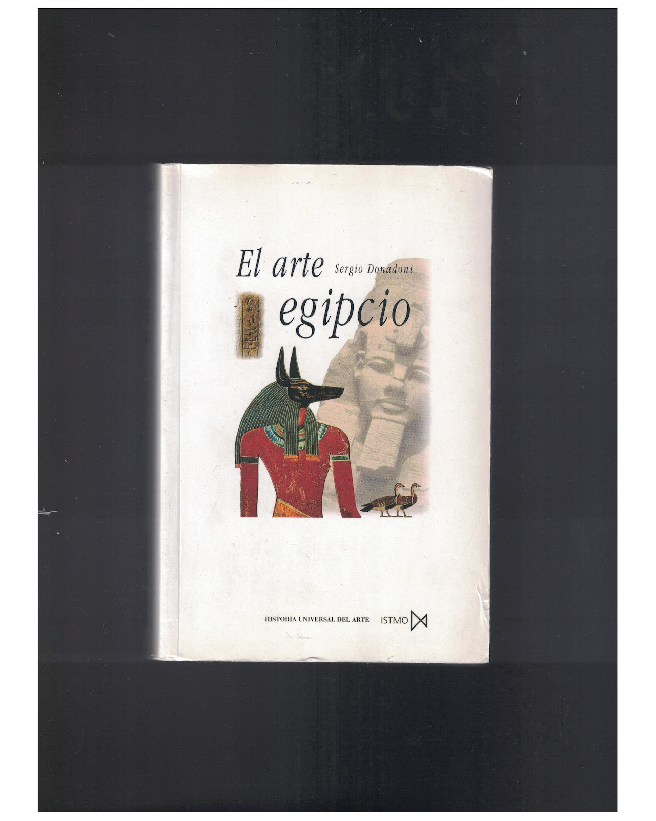 Libro ''arte Egipcio''