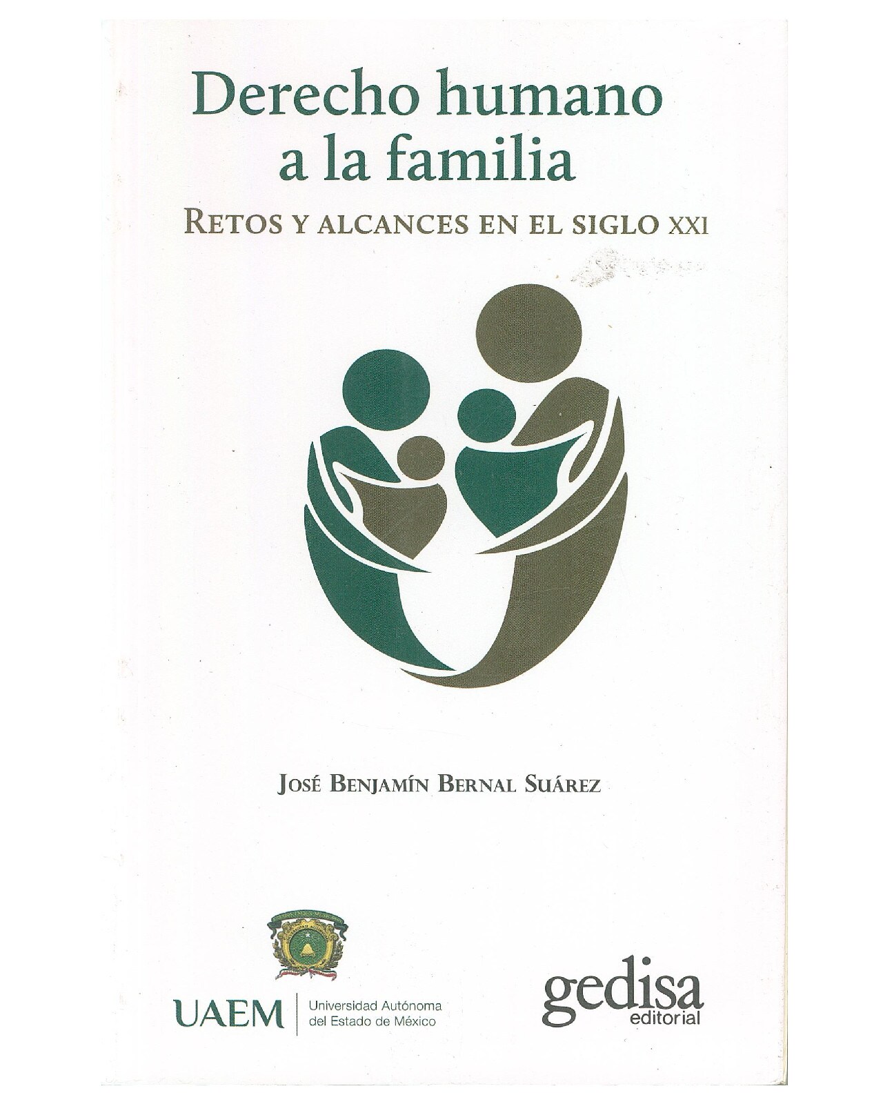 Libro '' Derecho Humano A La Familia'' $340