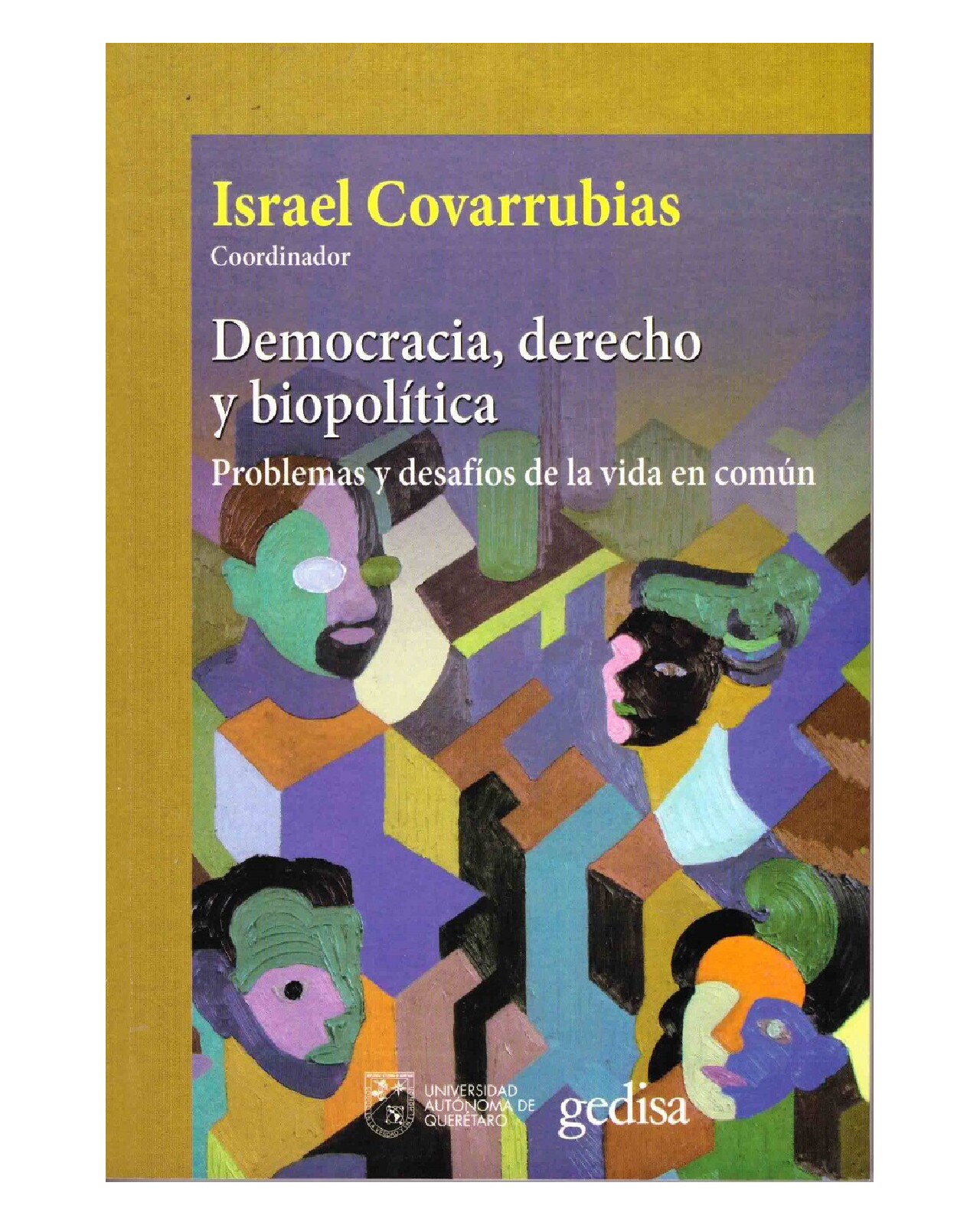 Libro '' Democracia, Derecho Y Biopolítica Problemas Y Desafios De La Vida En Común'' $530