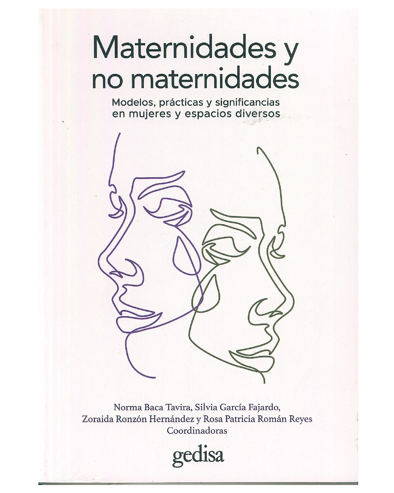 Foto 2 pulgar | Libro '' Maternidades Y No Maternidades''