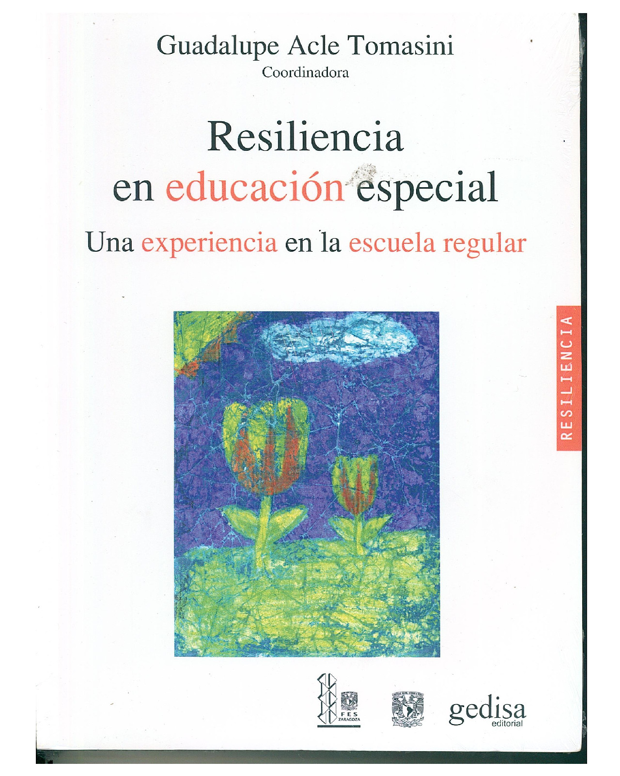 Libro '' Resiliencia En Educación Especial''