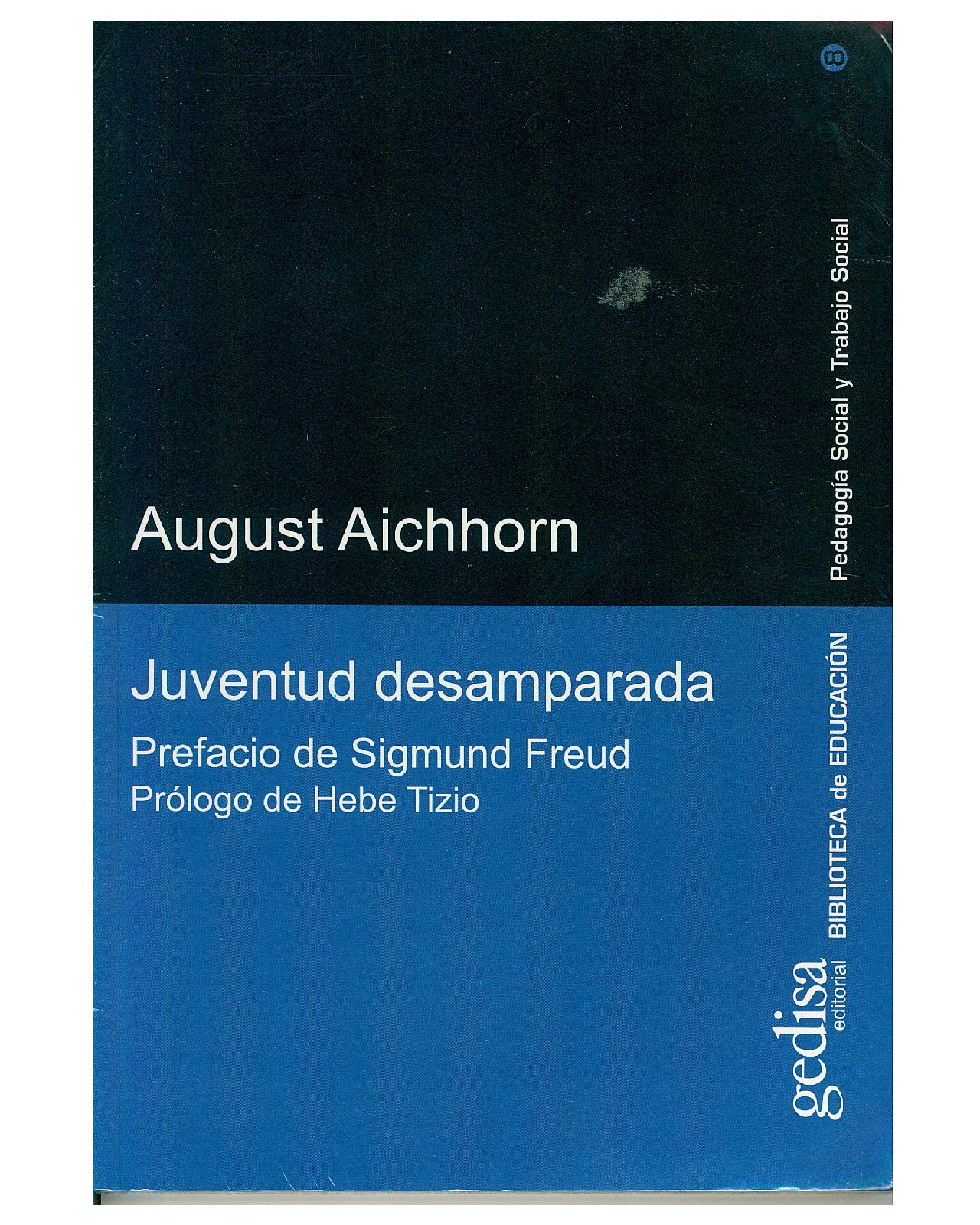 Foto 2 pulgar | Libro '' Juventud Desamparada''