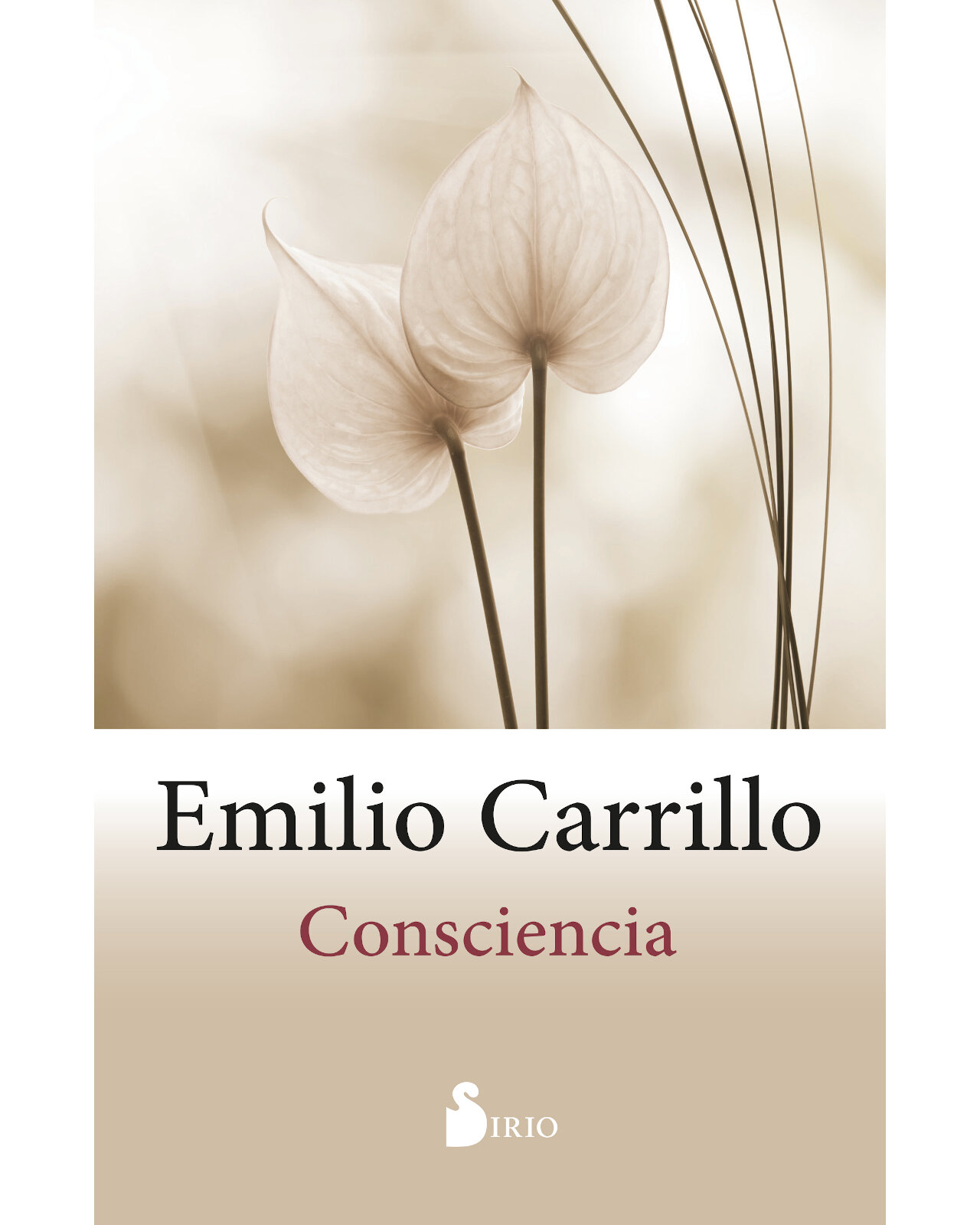 Foto 2 pulgar | Libro '' Consciencia''