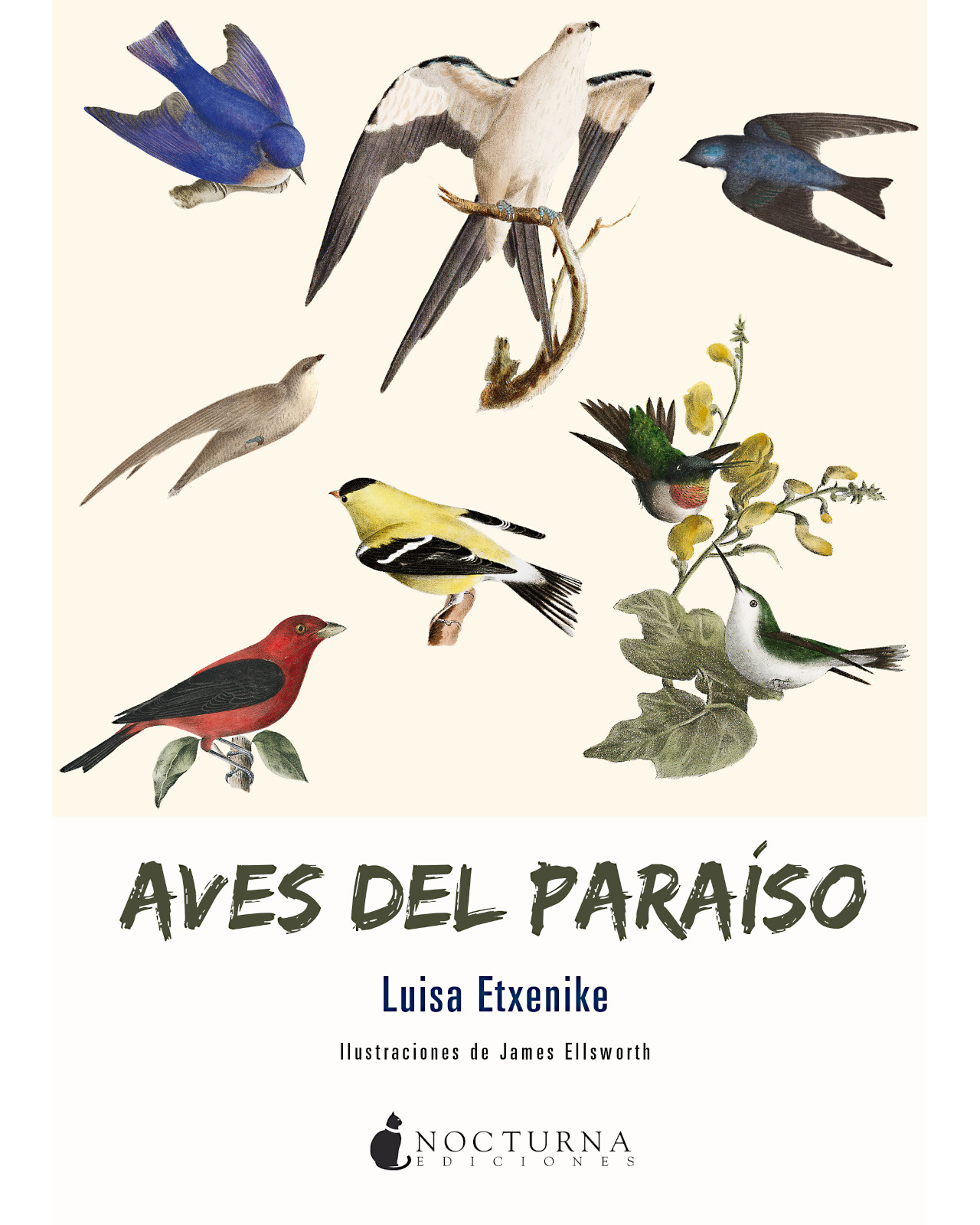 Libro '' Aves Del Paraíso''