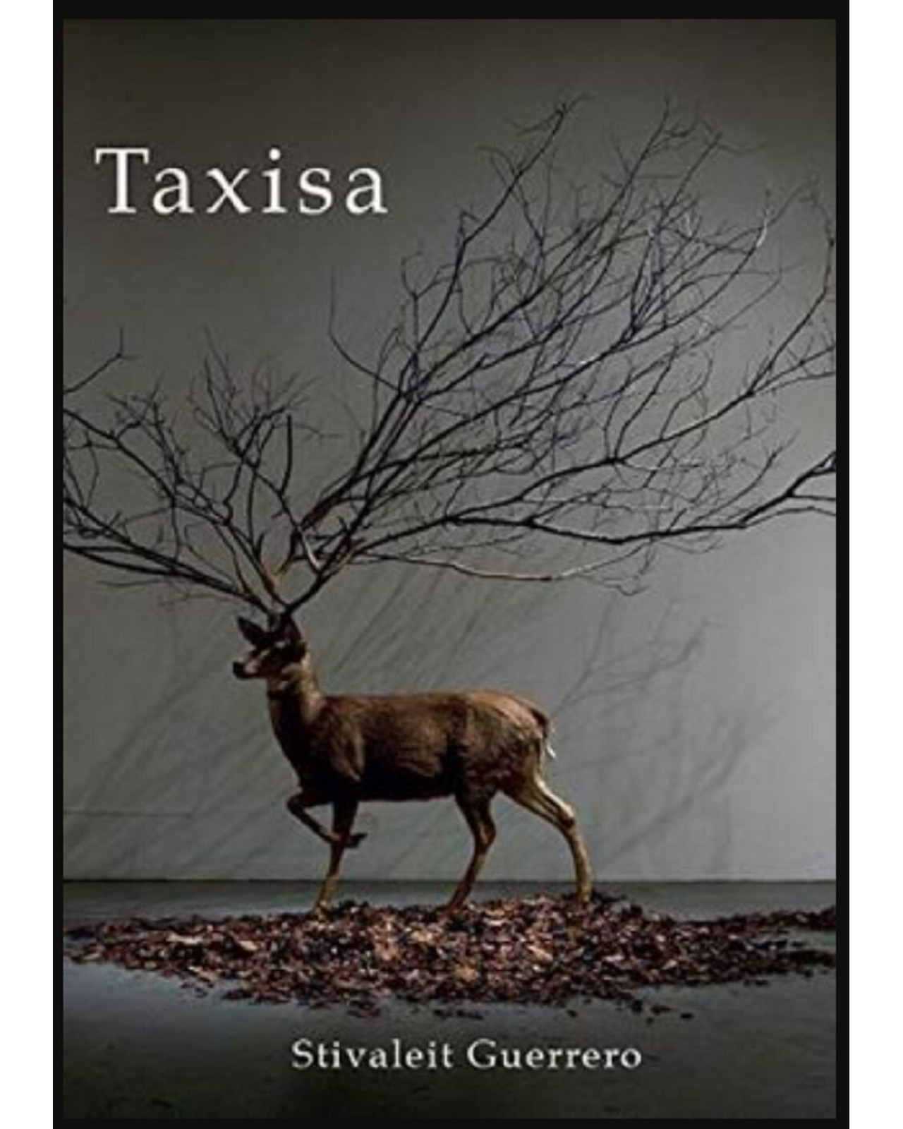 Foto 2 pulgar | Libro '' Taxisa''