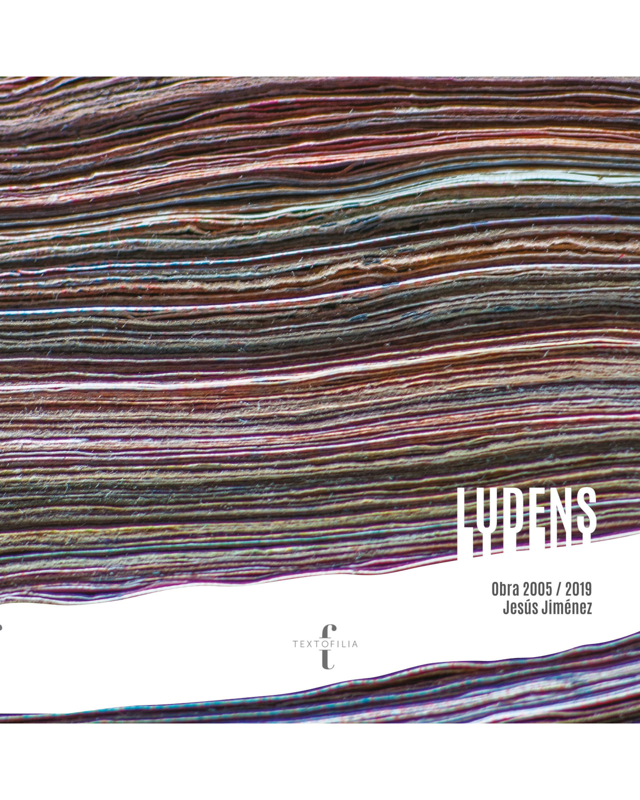 Foto 1 | Libro '' Ludens''