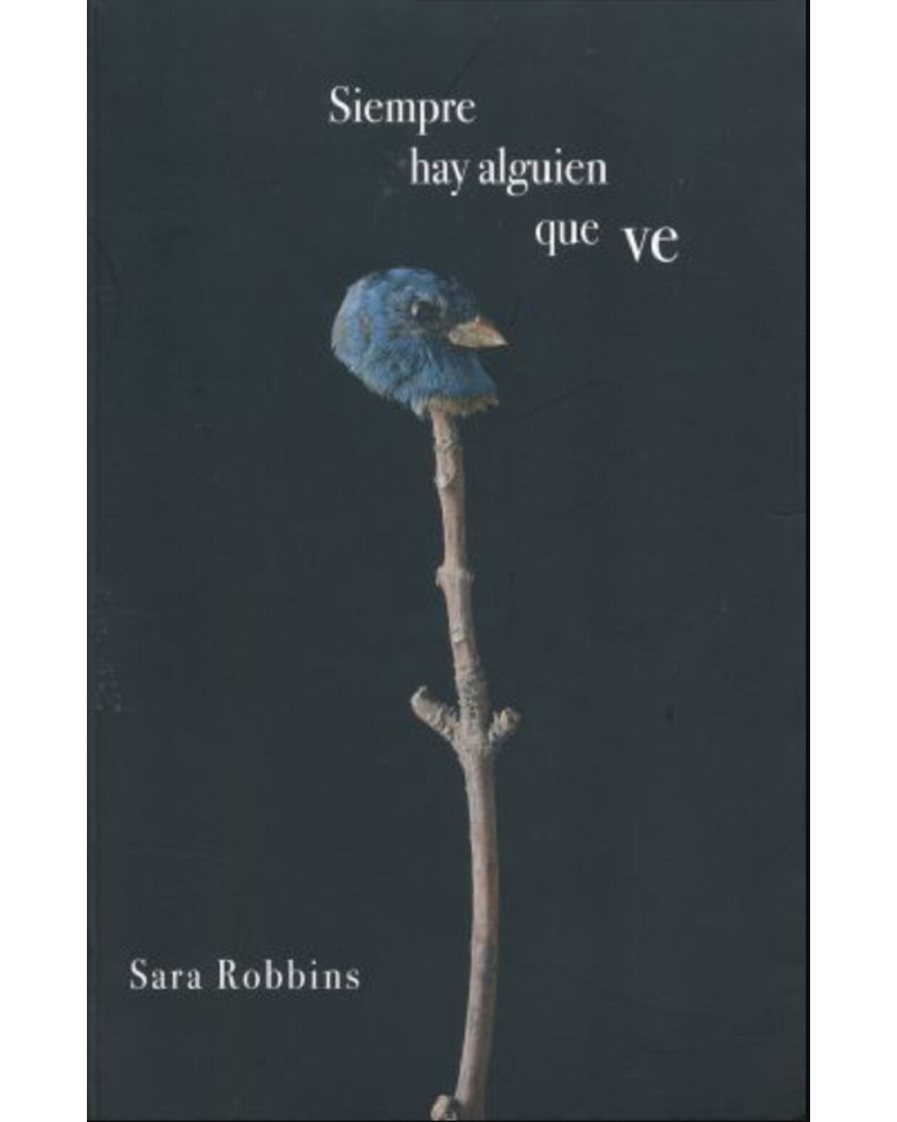 Foto 2 pulgar | Libro '' Siempre Hay Alguien Que Ve''