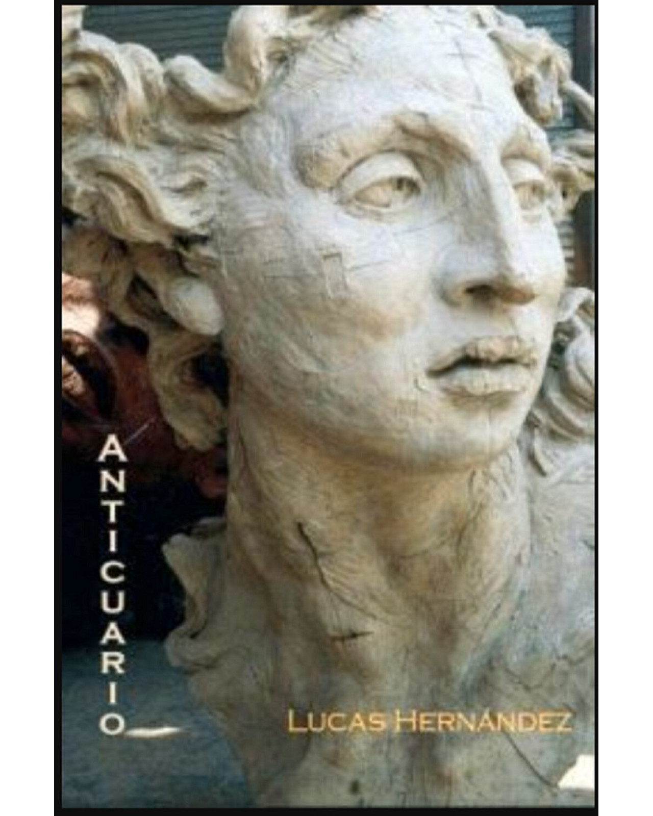 Foto 1 | Libro '' Anticuario''
