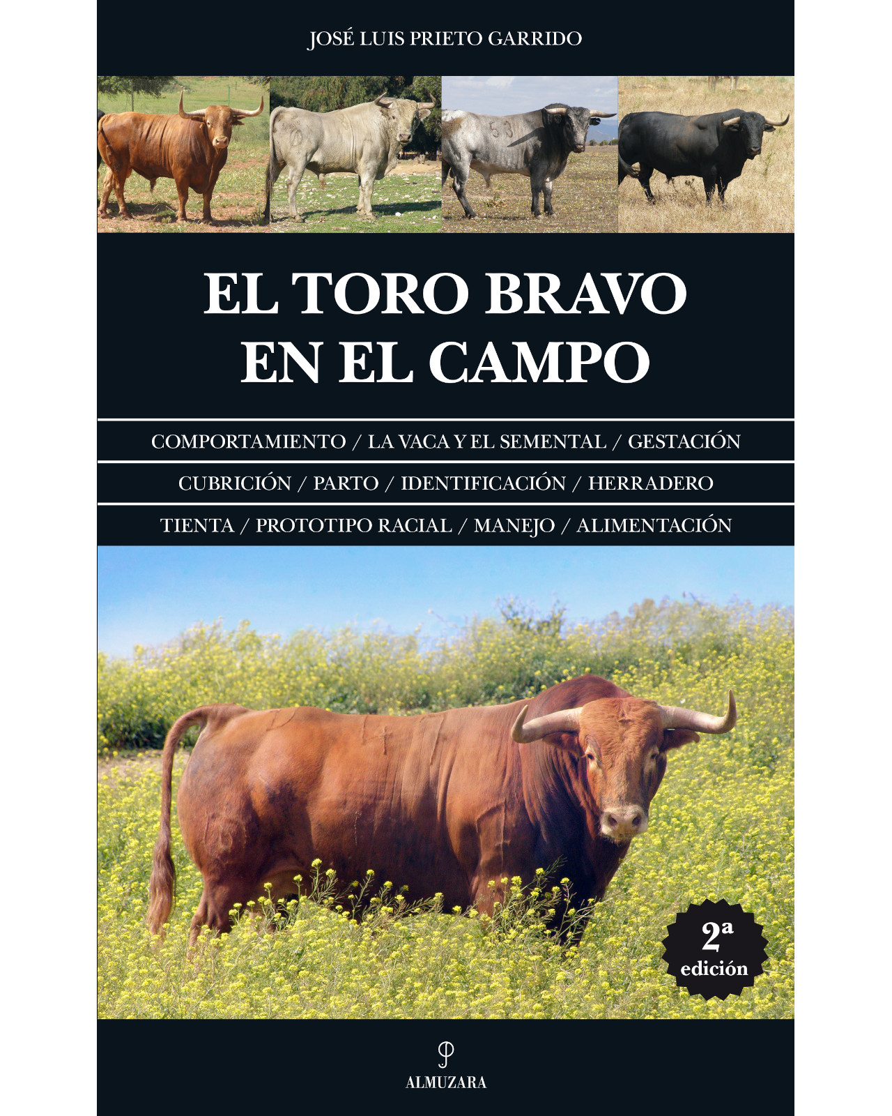 Foto 2 pulgar | Libro '' El Toro Bravo En El Campo''