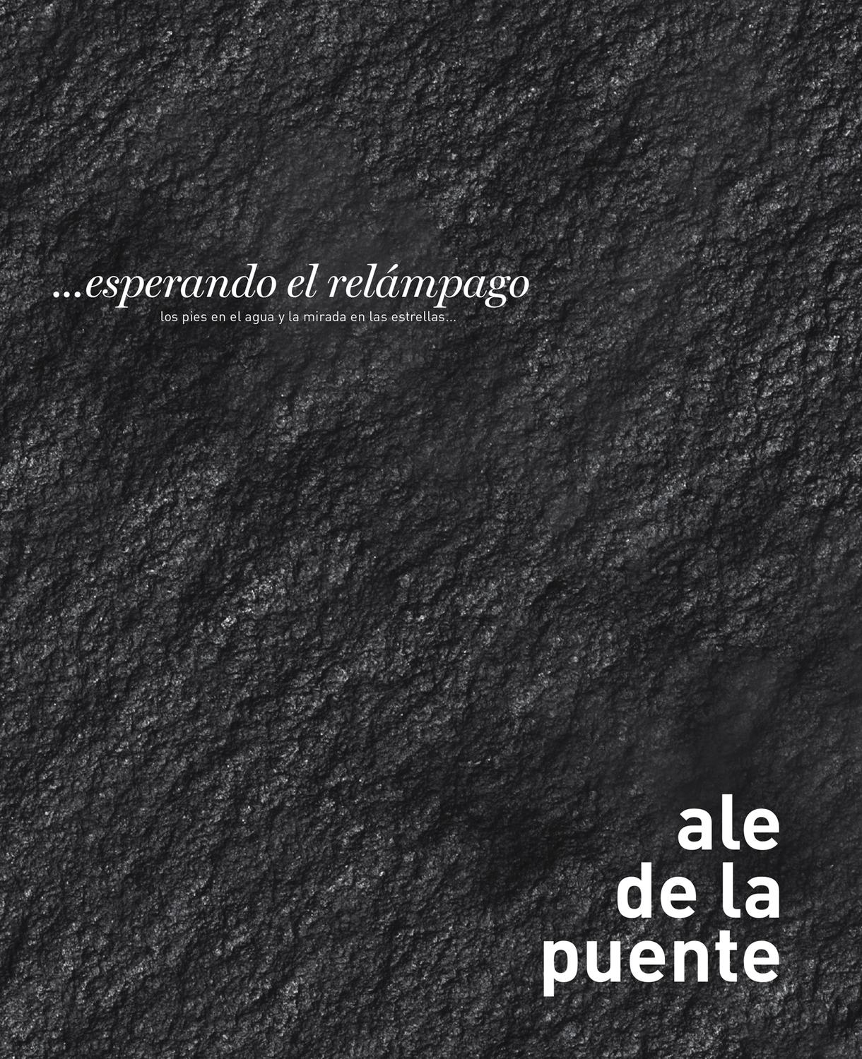 Libro " …esperando El Relámpago"