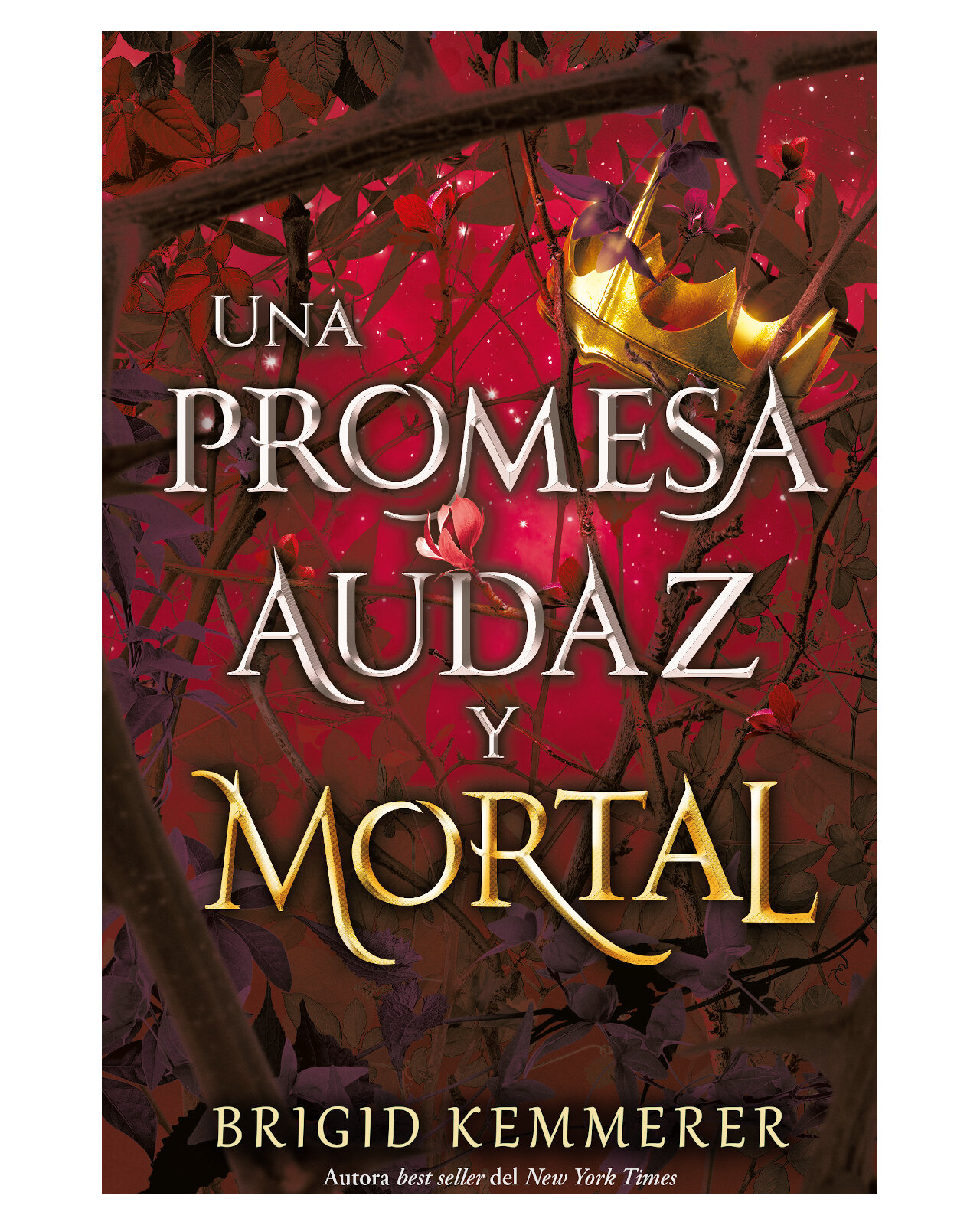 Foto 1 | Libro ''una Promesa Audaz Y Mortal''