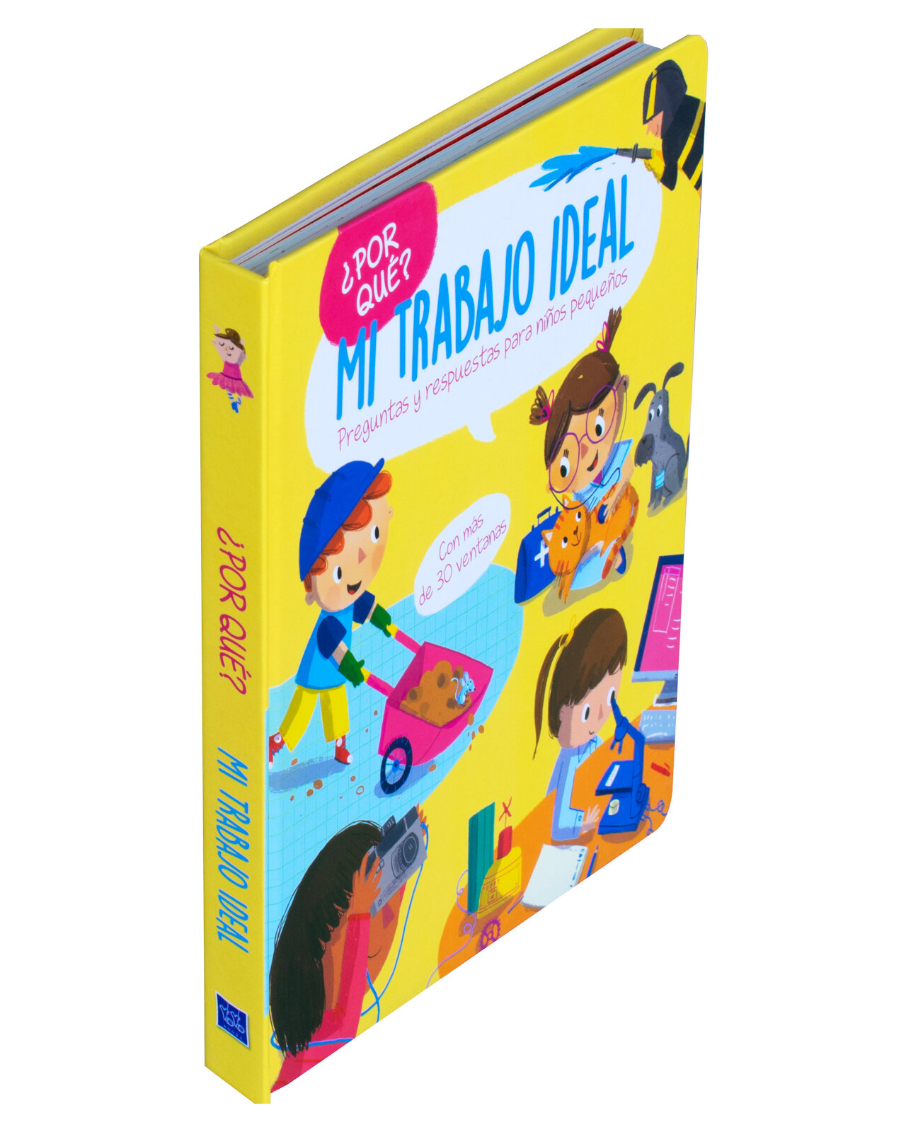 Libro ''¿por Qué?: Mi Trabajo Ideal.''