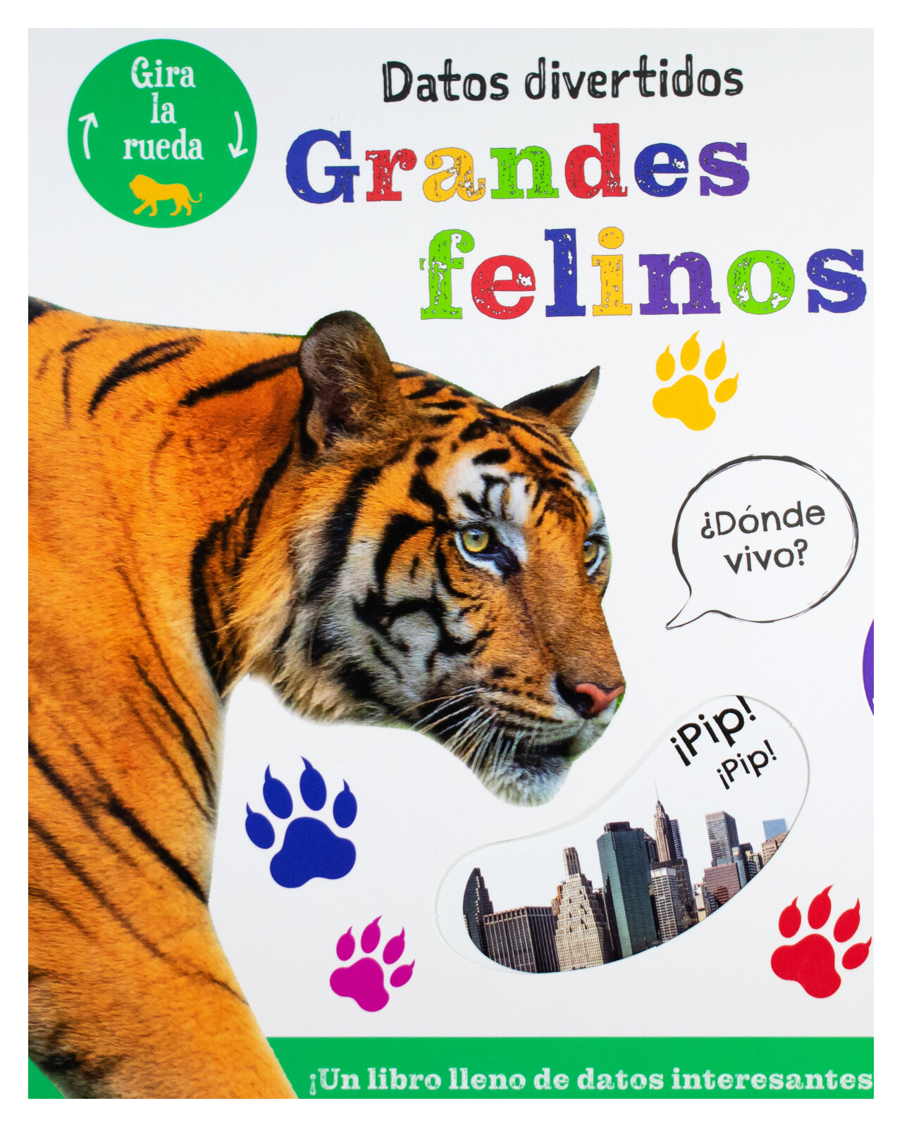 Libro ''datos Divertidos: Grandes Felinos''