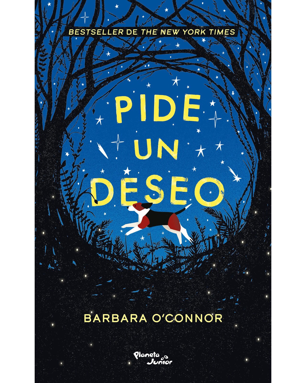 Libro ''pide Un Deseo'' $368