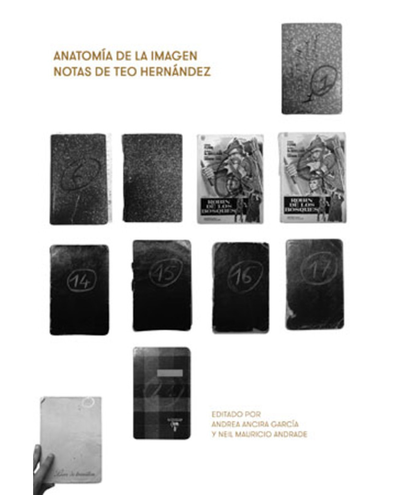 Foto 2 pulgar | Libro ''anatomía De La Imagen. Notas De Teo Hernández''