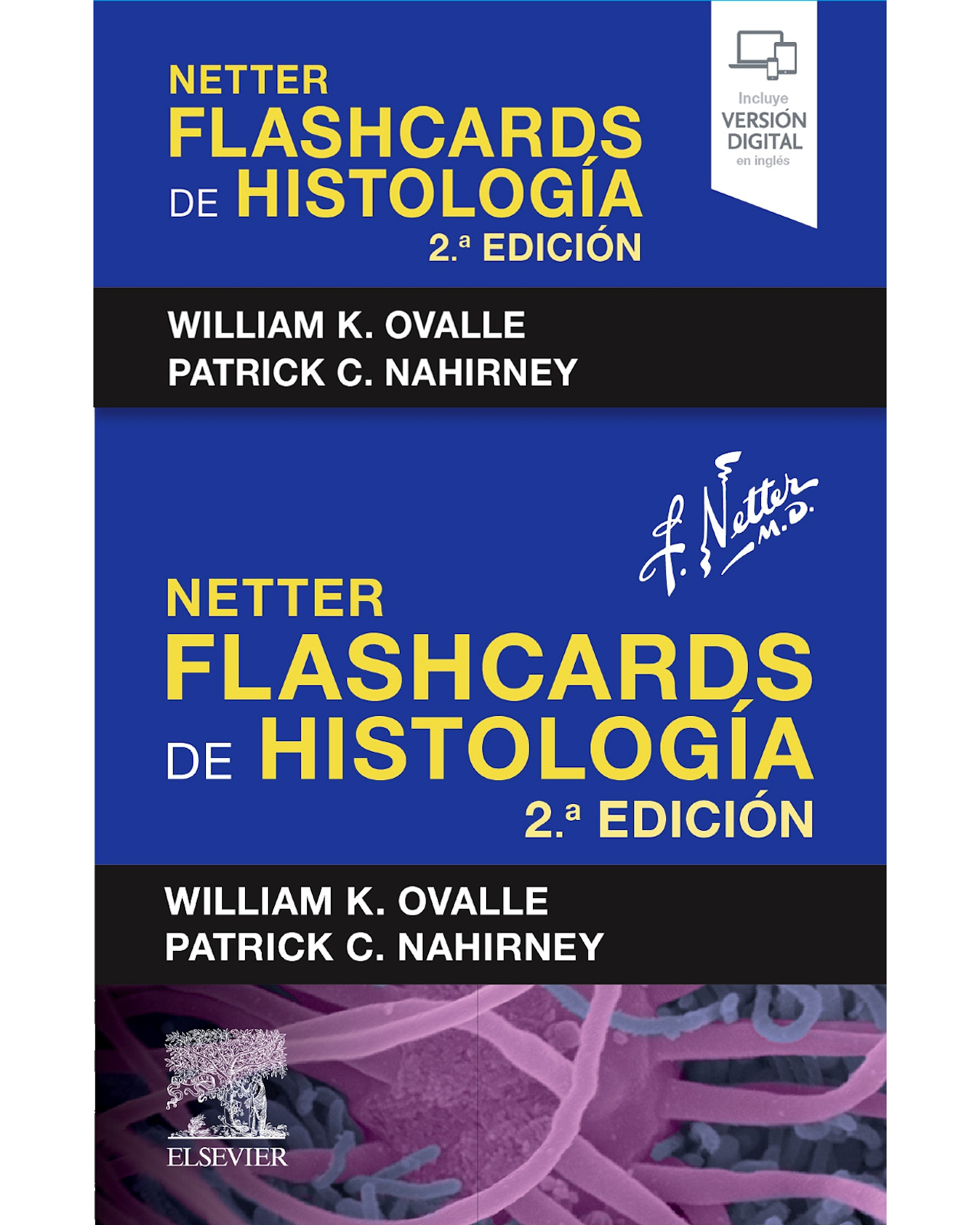 Foto 2 pulgar | Libro ''netter Flashcards De Histología 2da Edición''