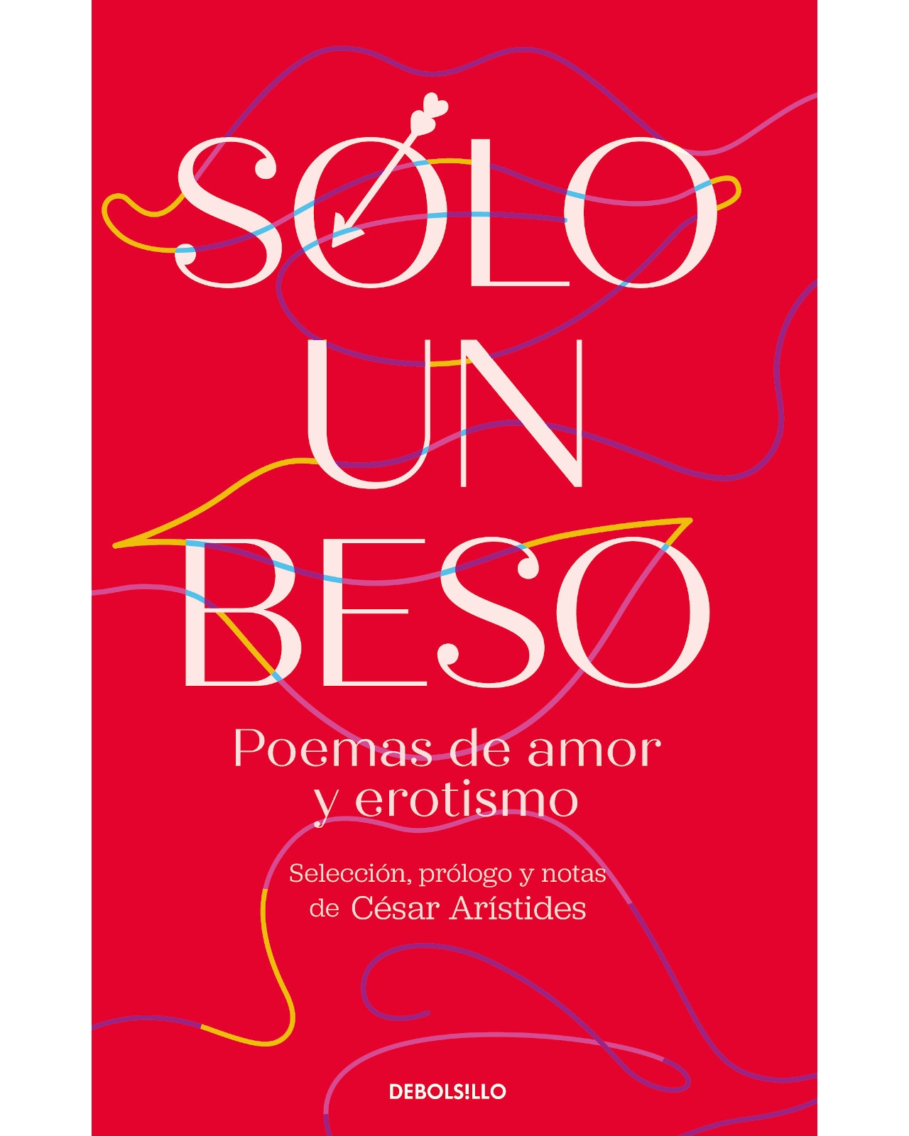 Libro ''sólo Un Beso. Poemas De Amor Y Erotismo'' $745