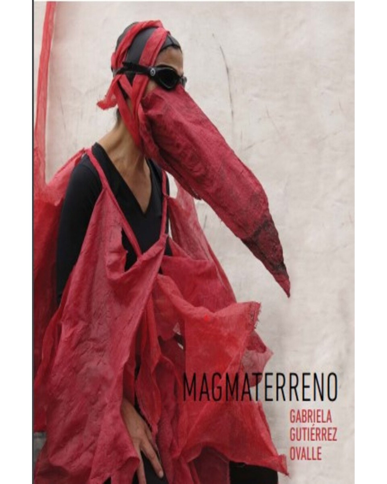 Foto 2 pulgar | Libro ''magmaterreno''