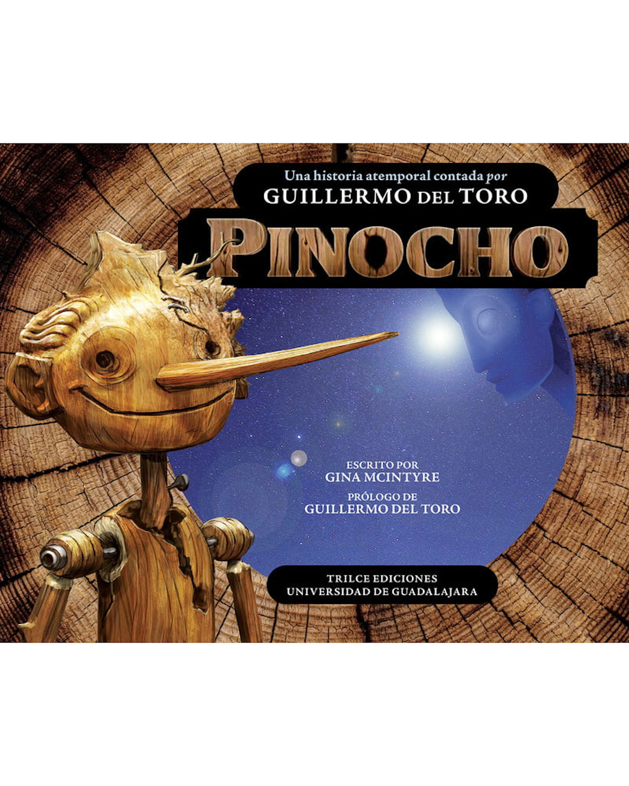 Libro ''pinocho''