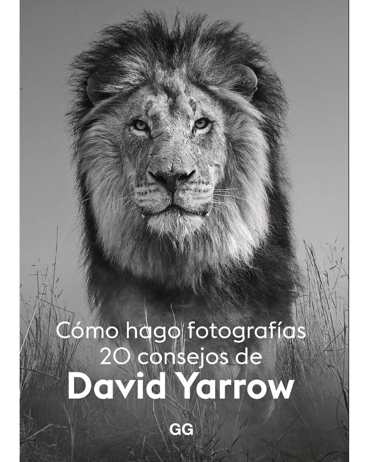 Libro ''cómo Hago Fotografías 20 Consejos De David Yarrow''