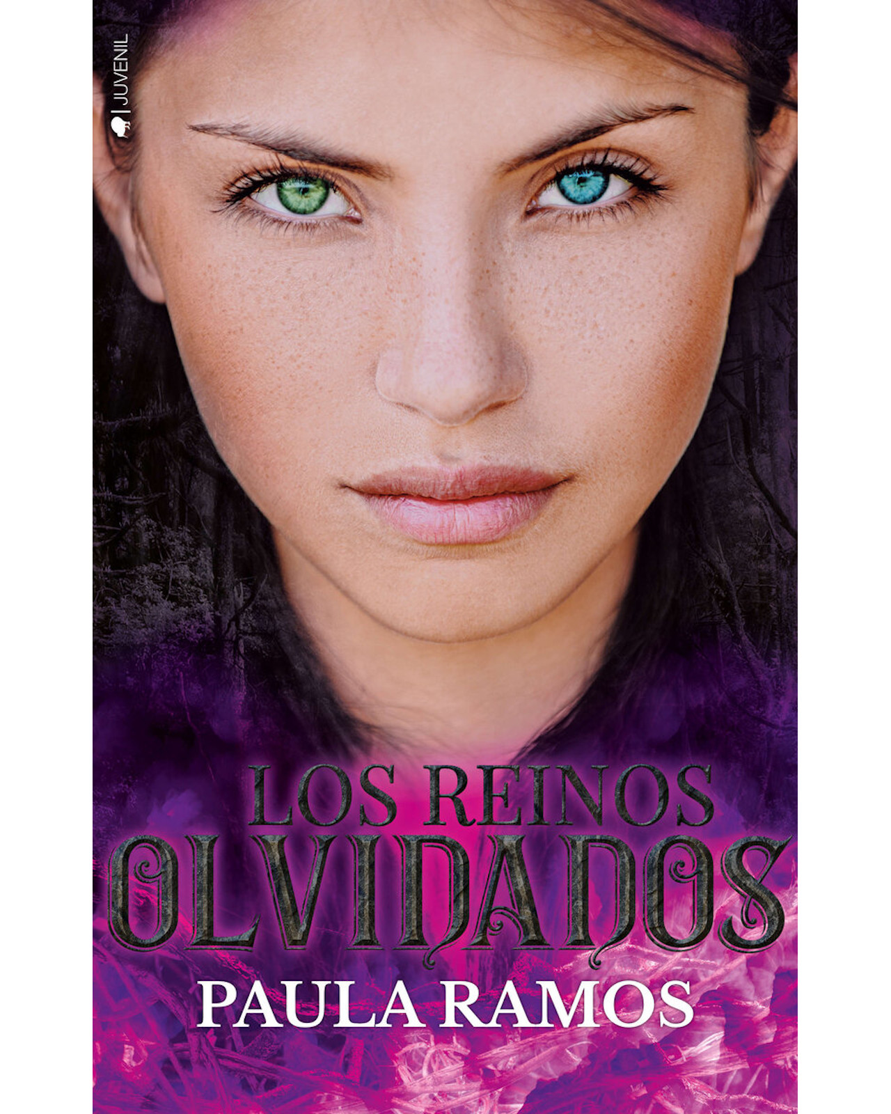 Foto 2 pulgar | Libro ''los Reinos Olvidados''