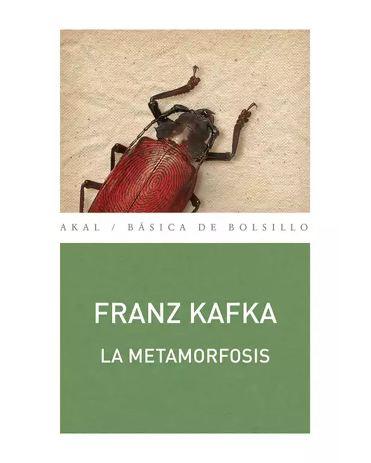 Libro ''la Metamorfosis''