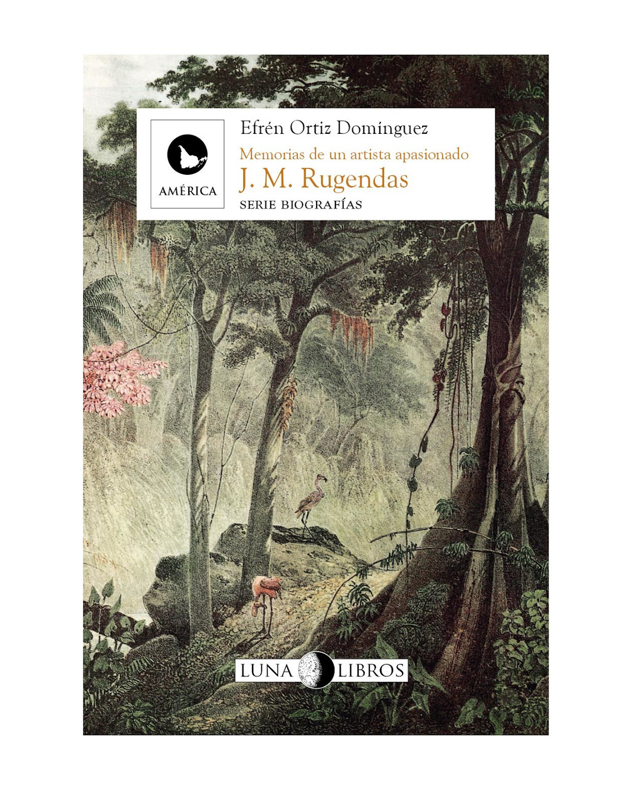 Foto 1 | Libro ''j. M. Rugendas''