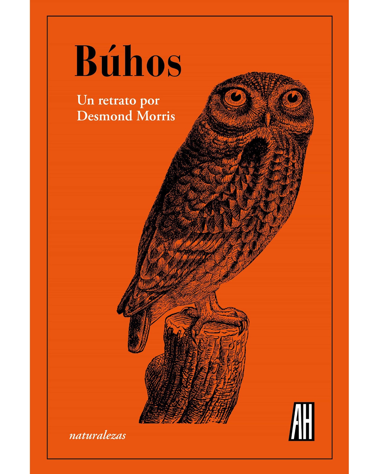 Libro ''búhos'' $525