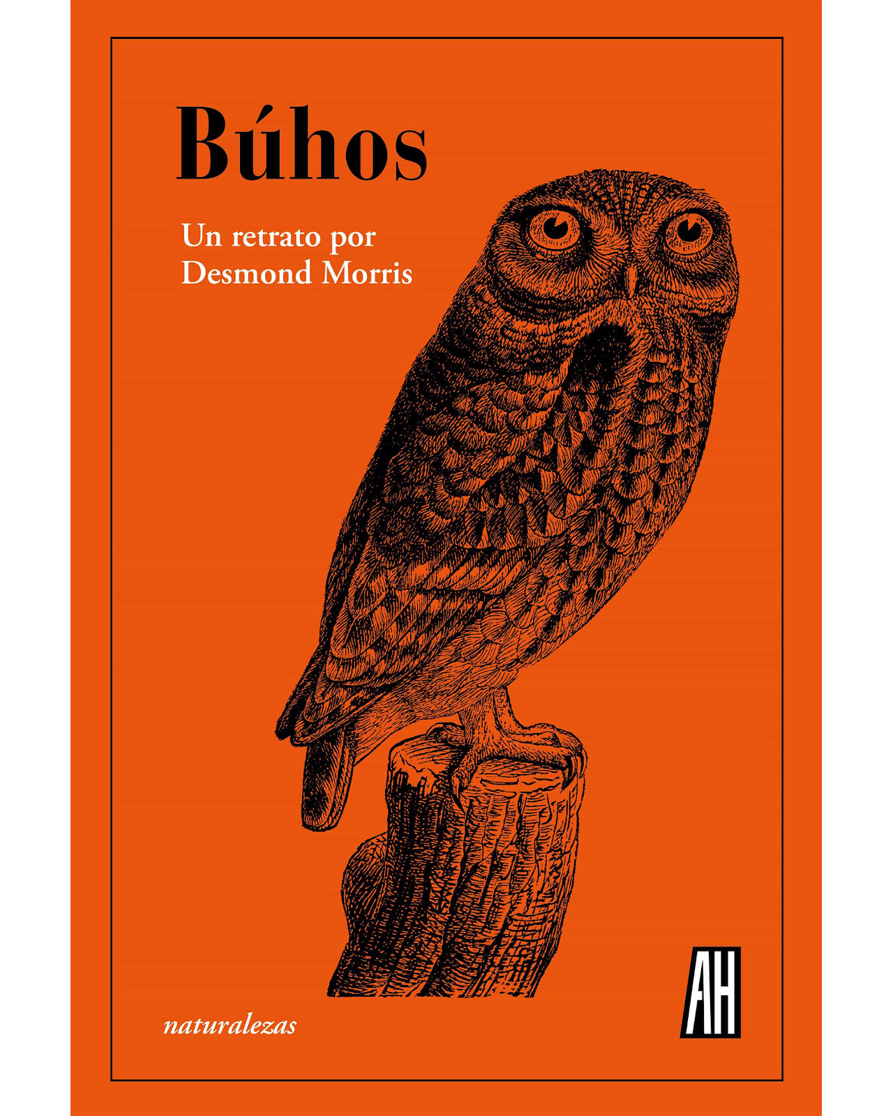 Libro ''búhos''