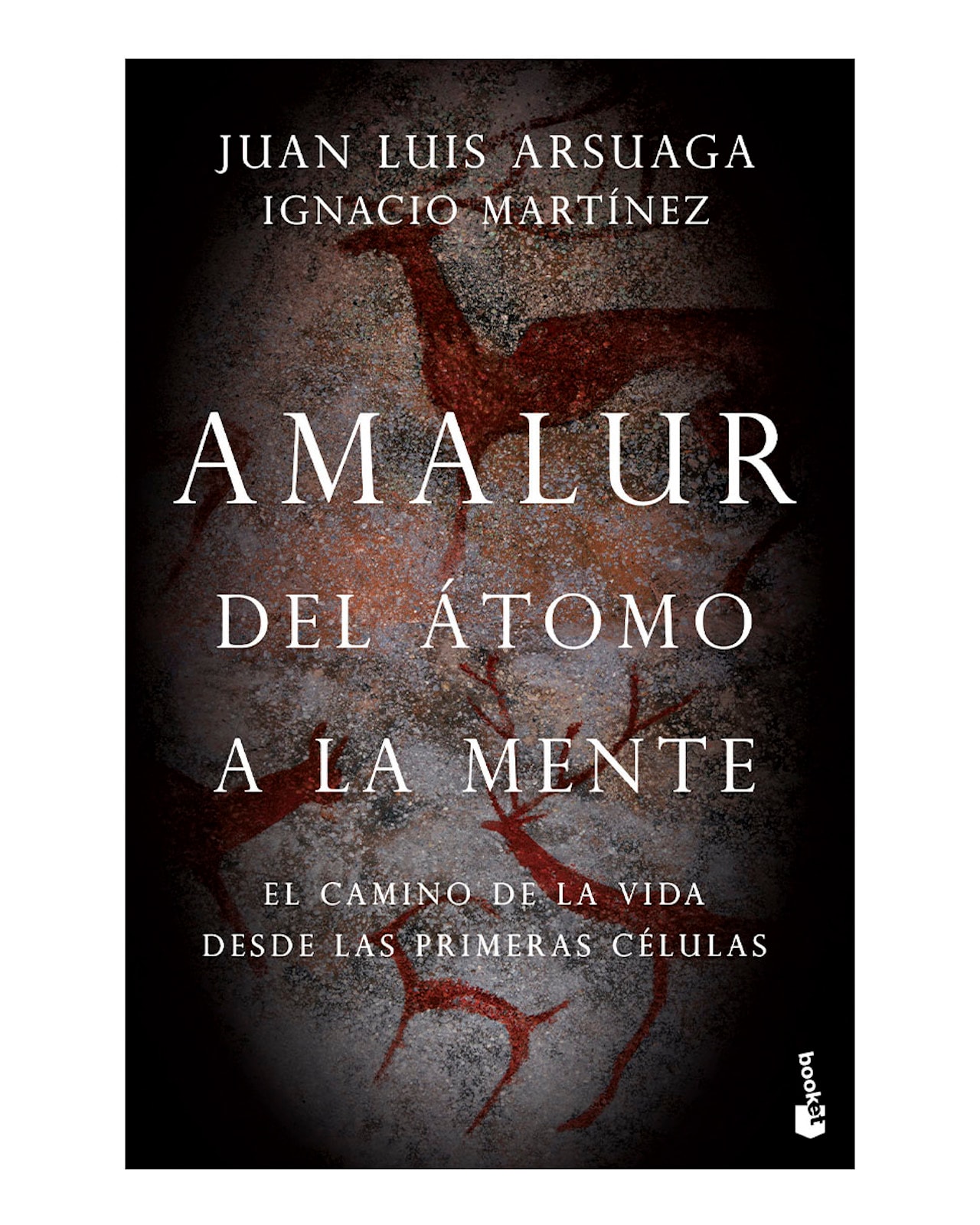 Libro ''amalur'' $299