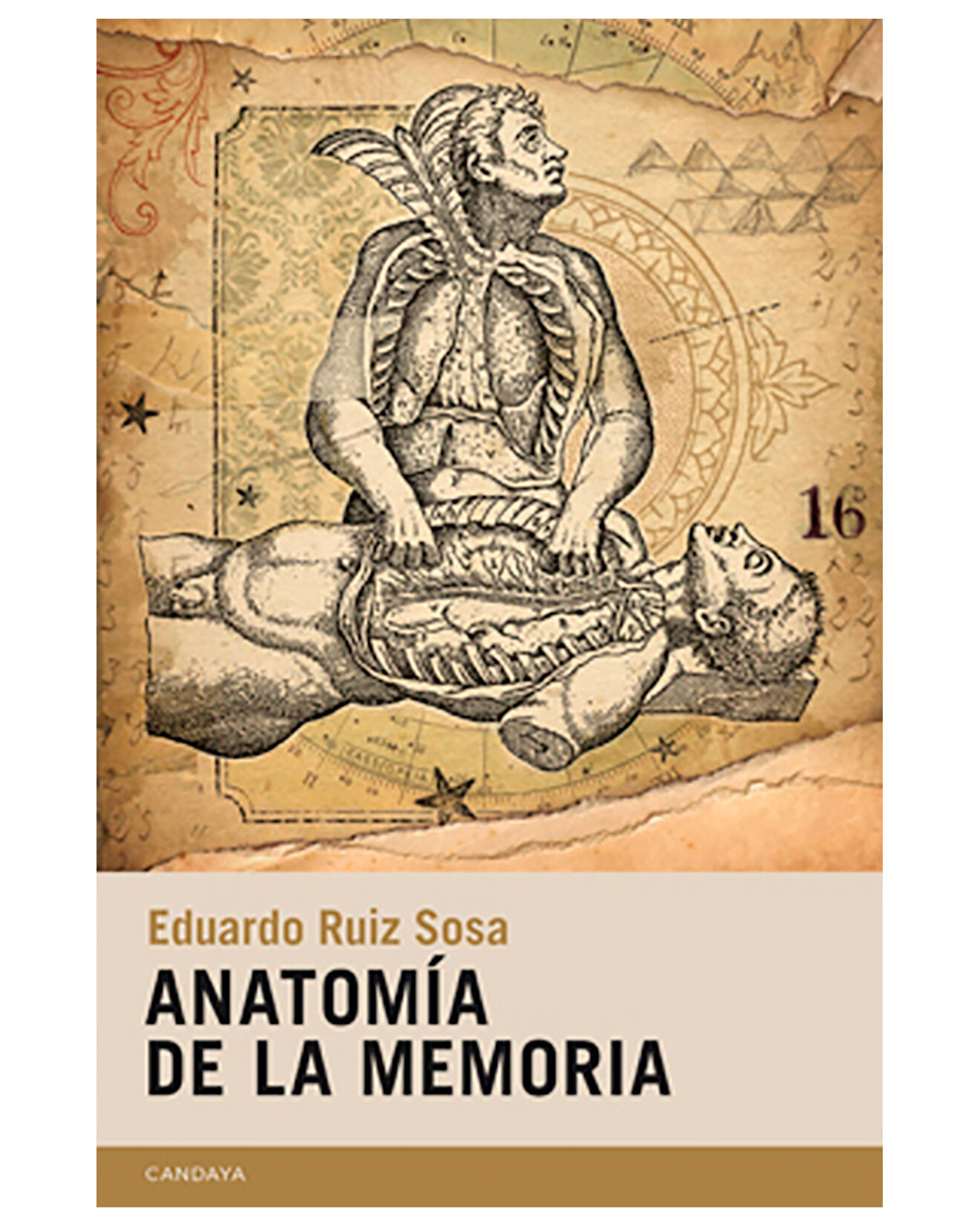 Libro ''anatomía De La Memoria''