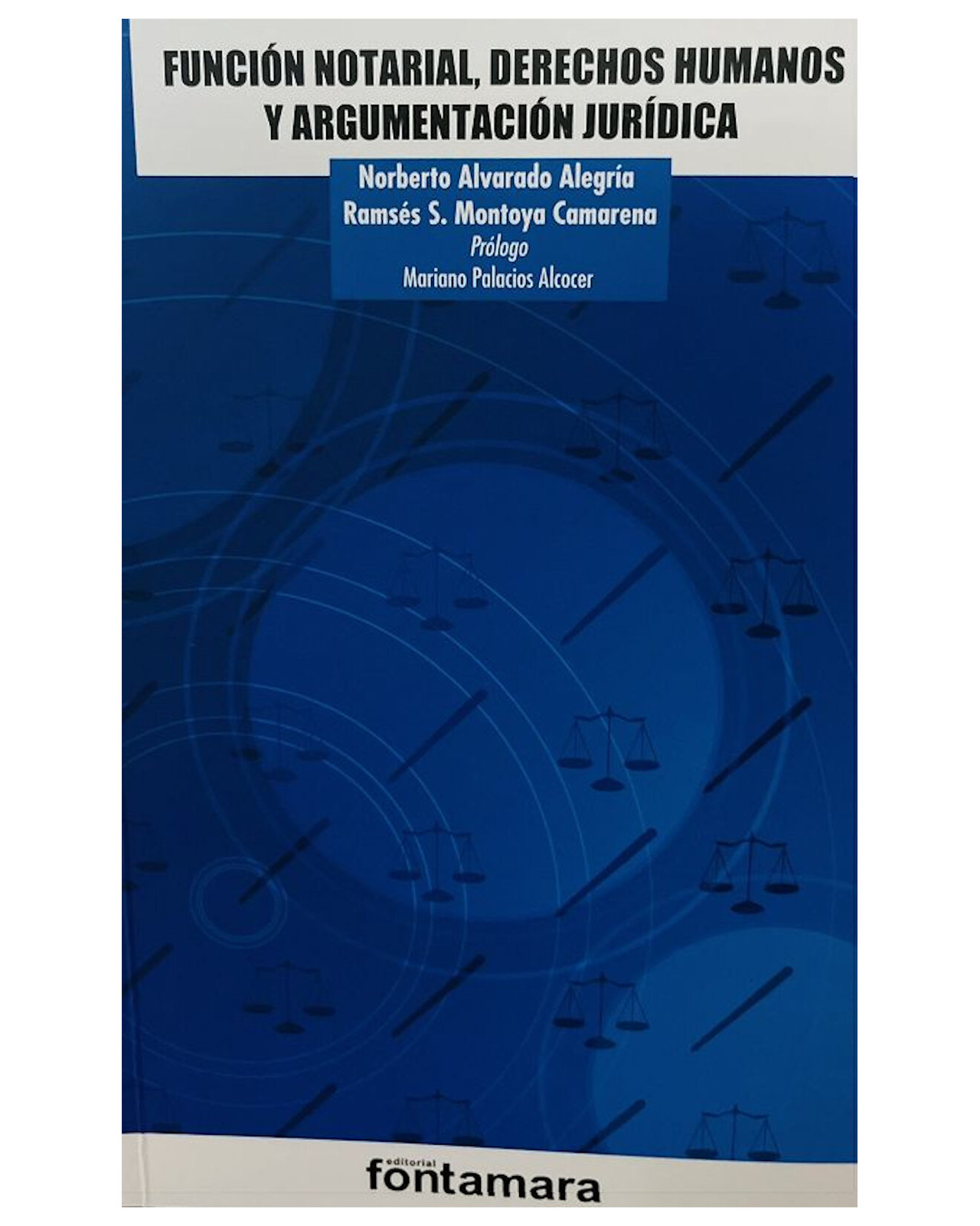 Foto 1 | Libro ''función Notarial, Derechos Humanos Y Argumentación Jurídica''