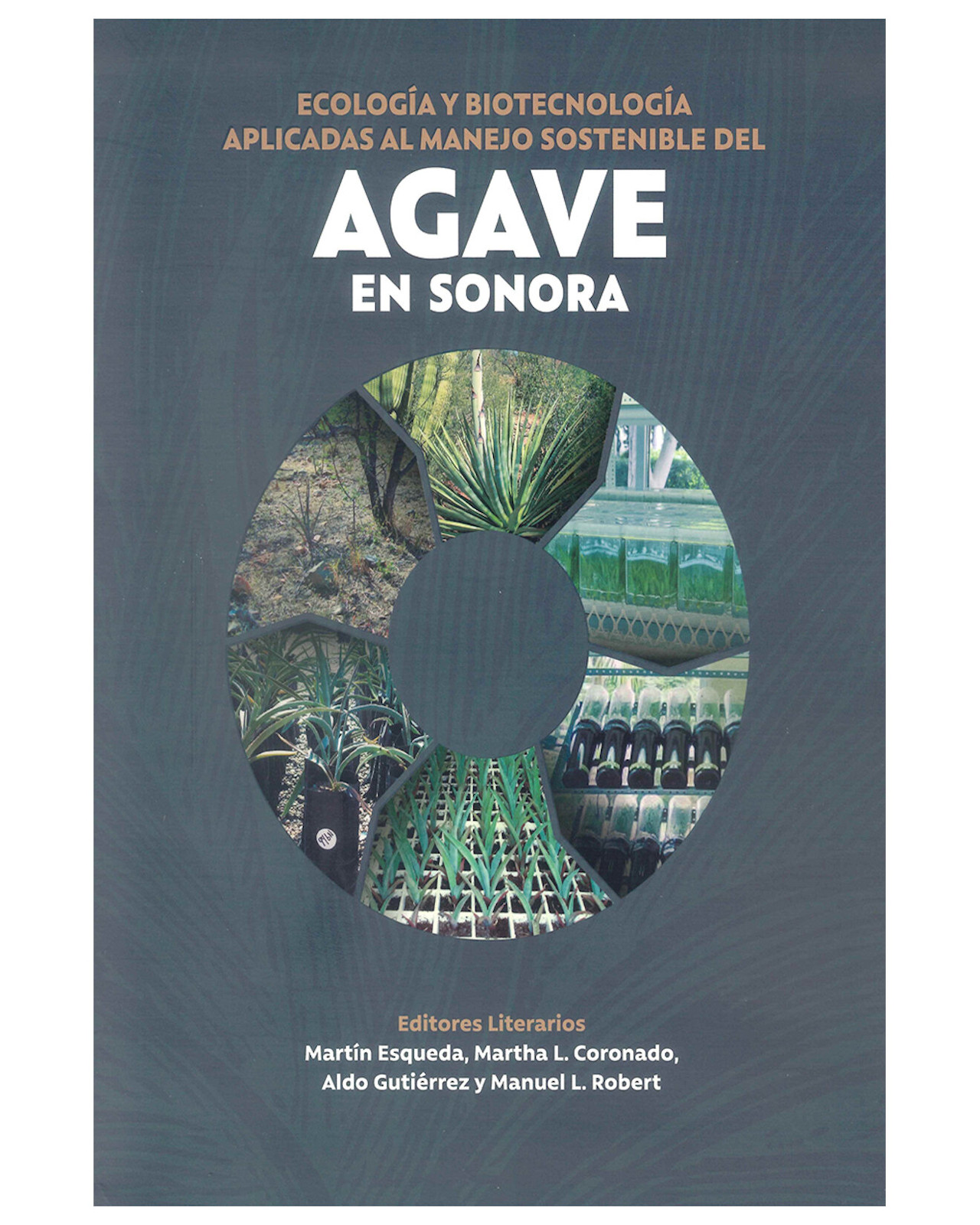 Foto 2 pulgar | Libro ''Ecología y Biotecnología Aplicadas al Manejo Sostenible del Agave En Sonora''