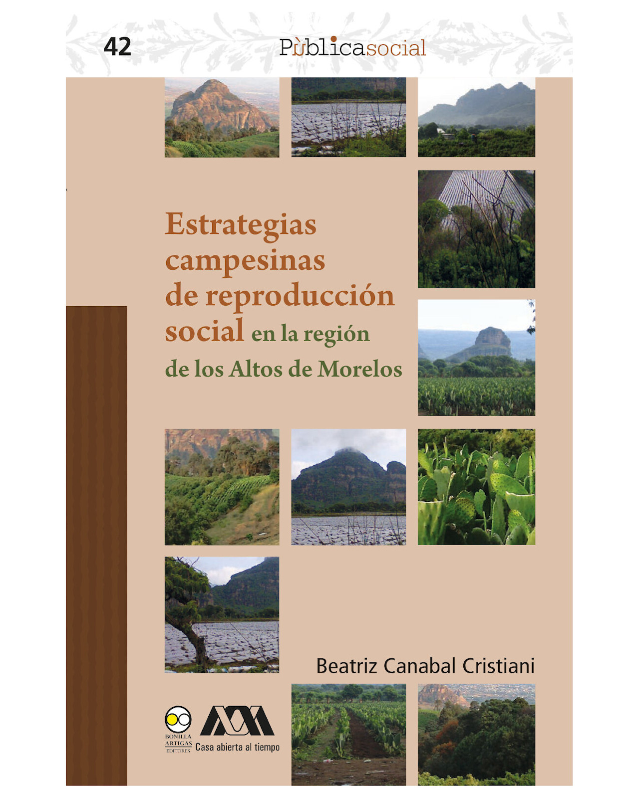 Foto 2 pulgar | Libro ''estrategias Campesinas De Reproducción Social En La Región De Los Altos De Morelos''